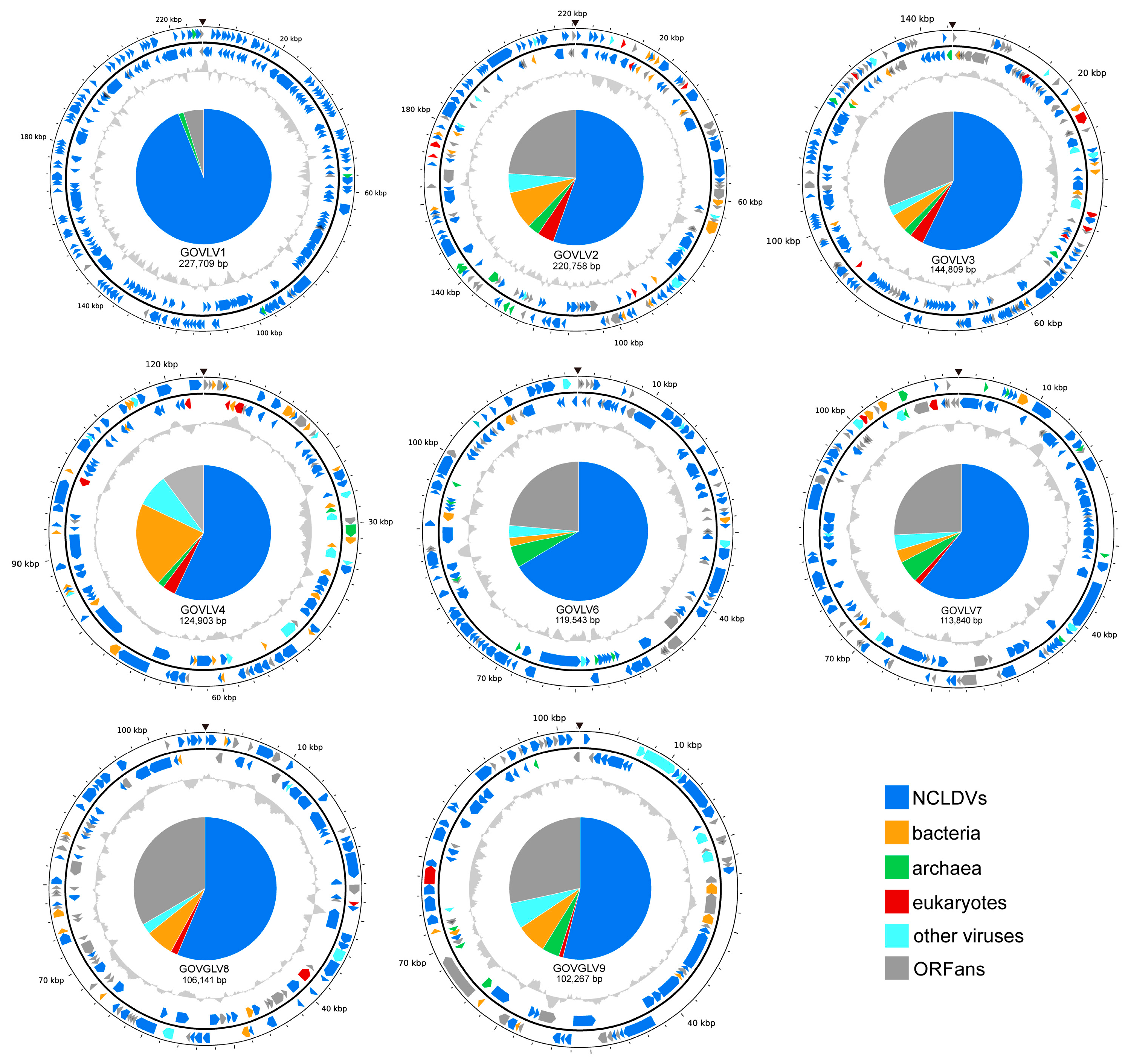 Viruses 15 01582 g006 Viruses 15 01582 g006