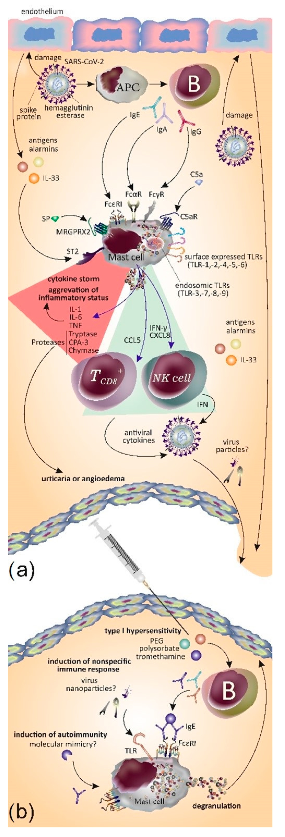 Viruses 15 01585 g002