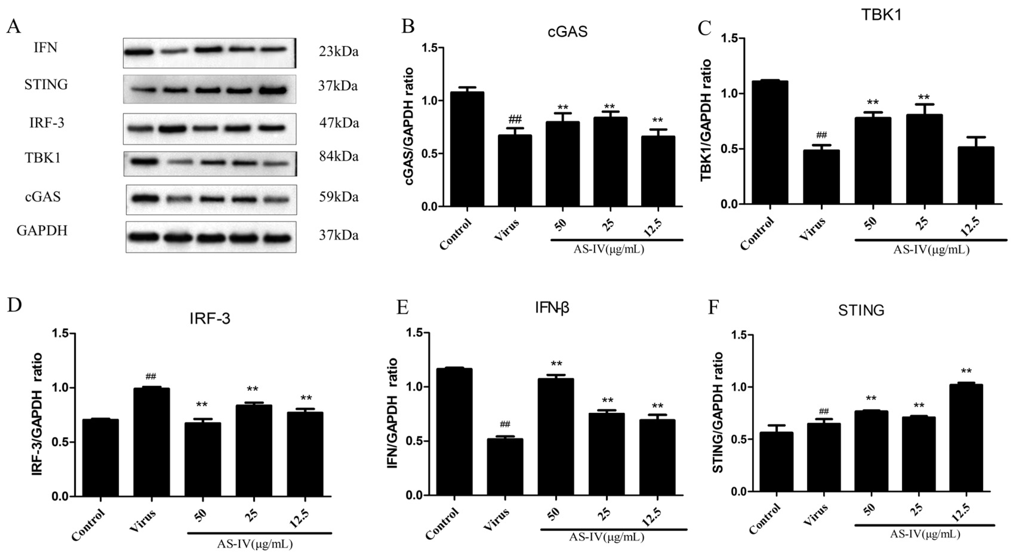 Viruses 15 01586 g006 Viruses 15 01586 g006
