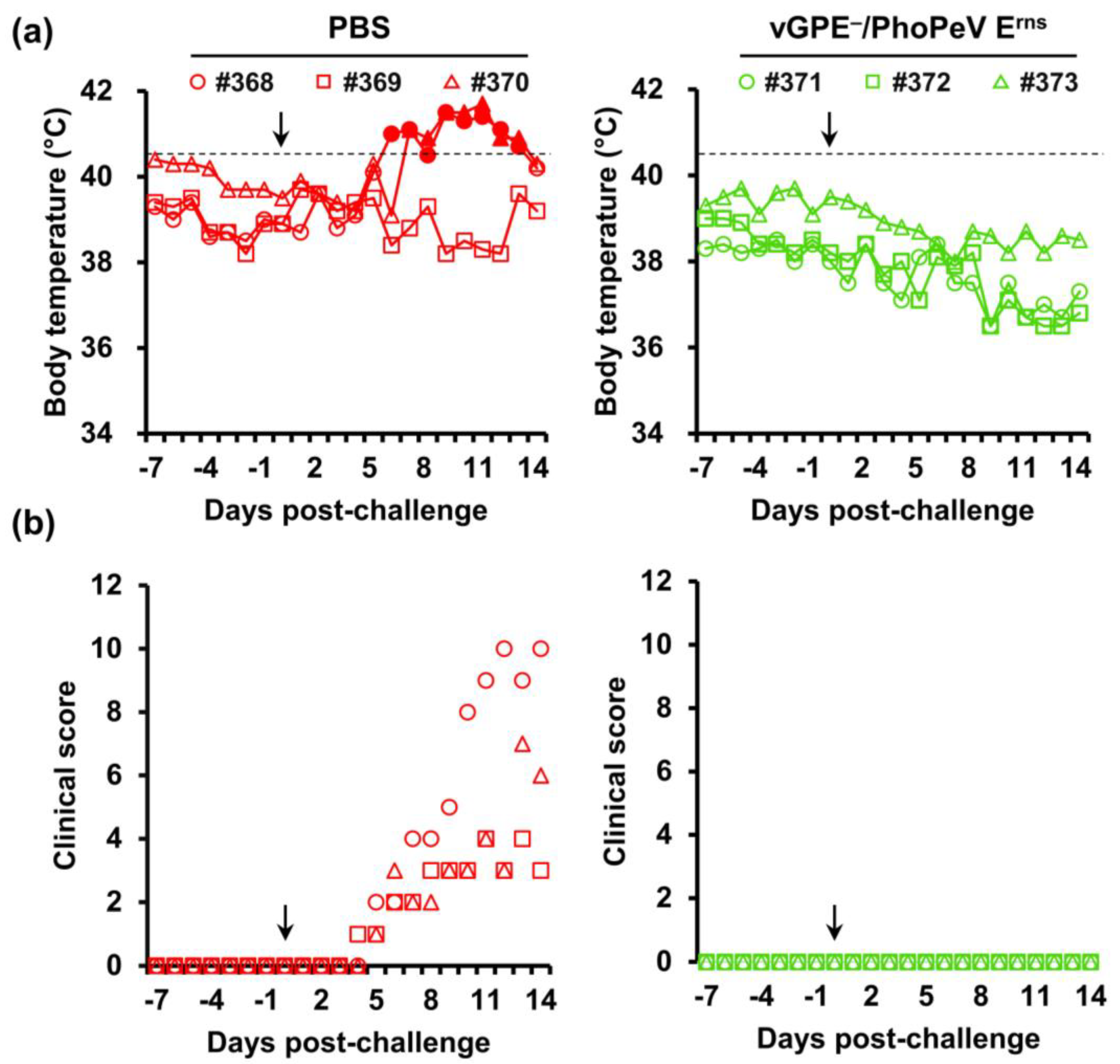 Viruses 15 01587 g004 Viruses 15 01587 g004
