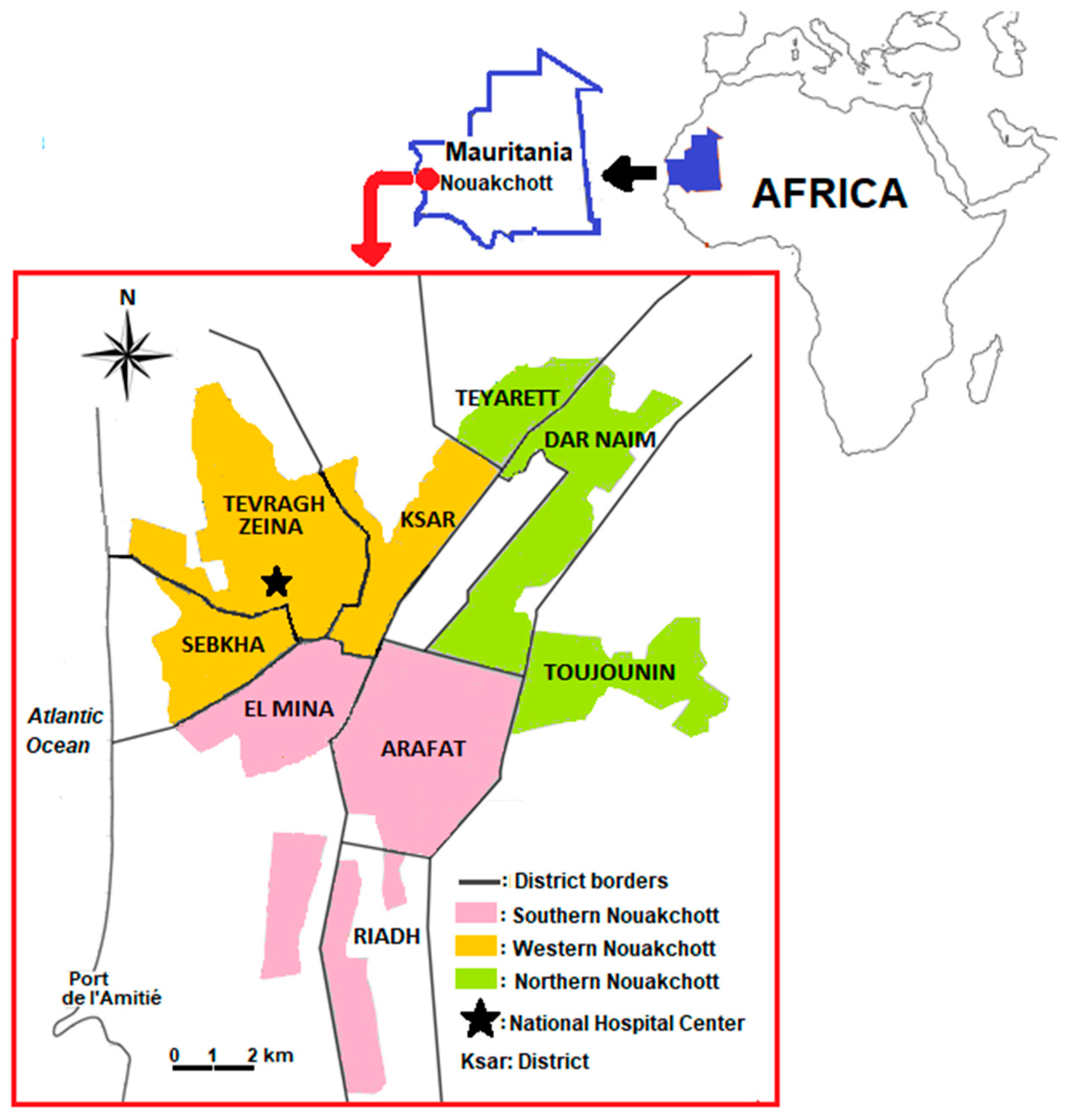 Viruses 15 01588 g001