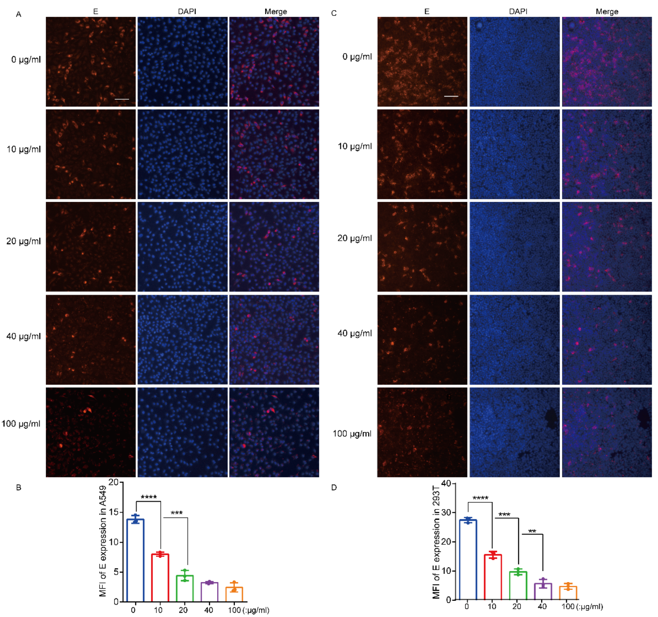 Viruses 15 01589 g004a Viruses 15 01589 g004a