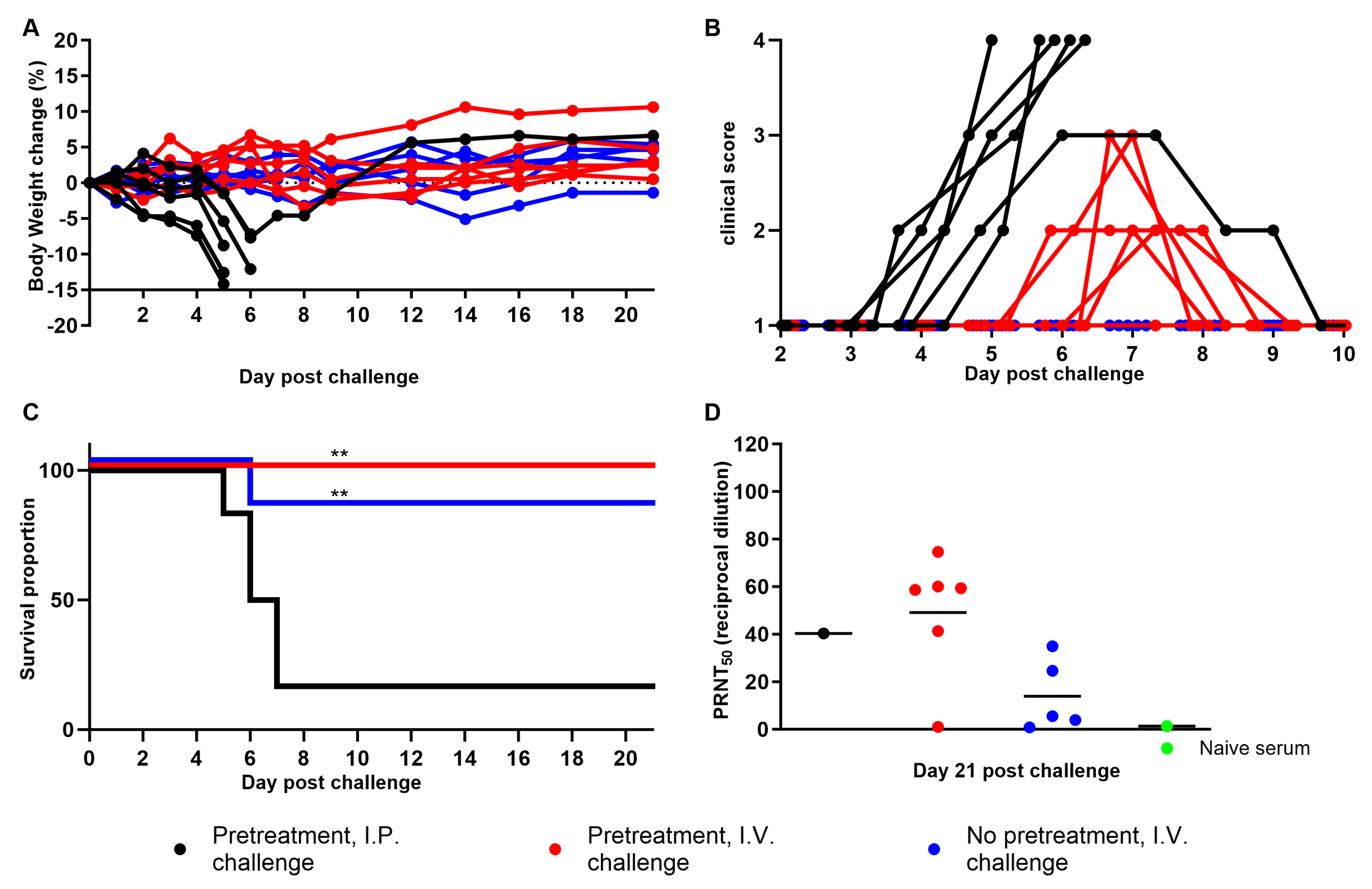 Viruses 15 01590 g001