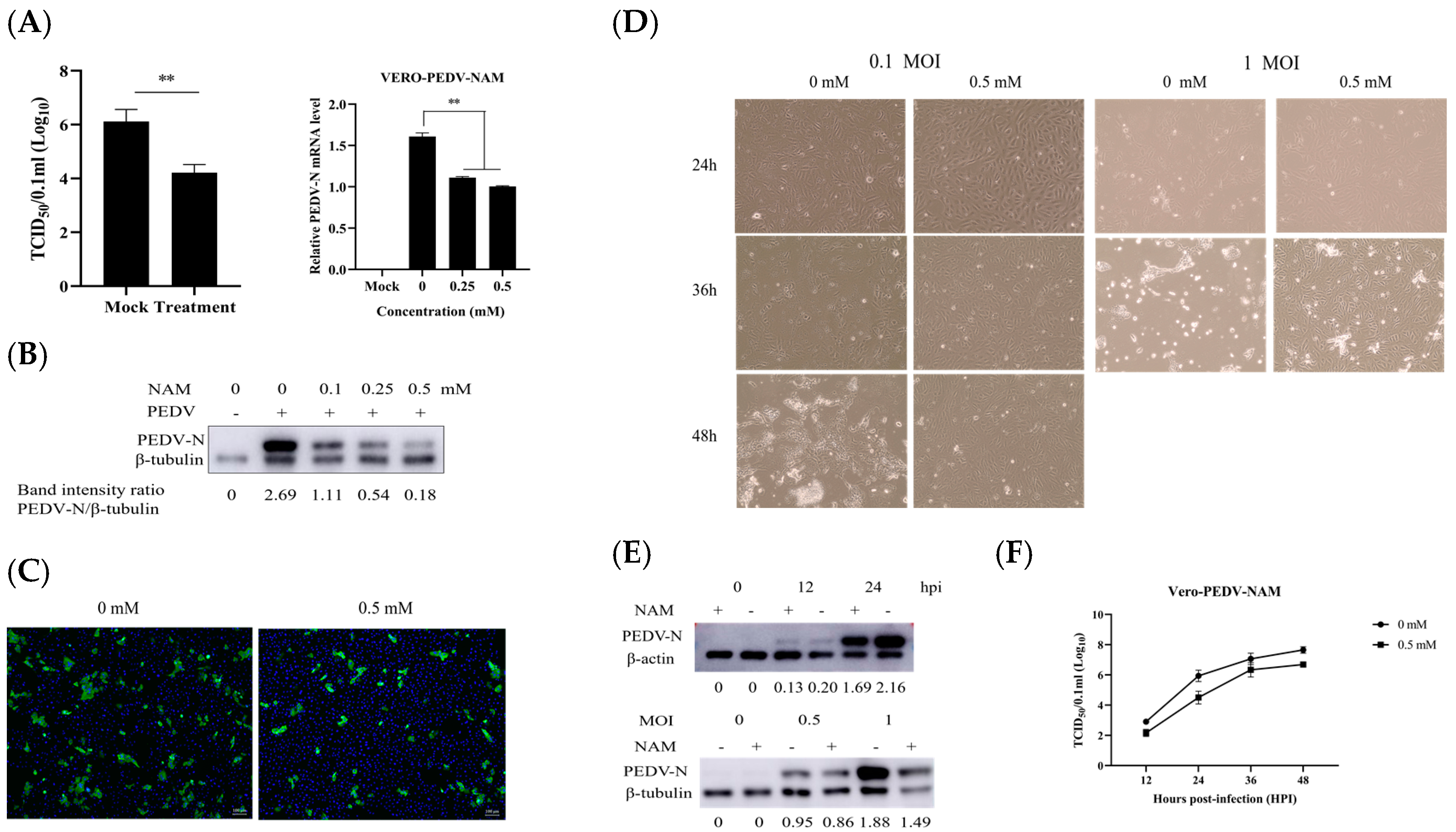 Viruses 15 01591 g002
