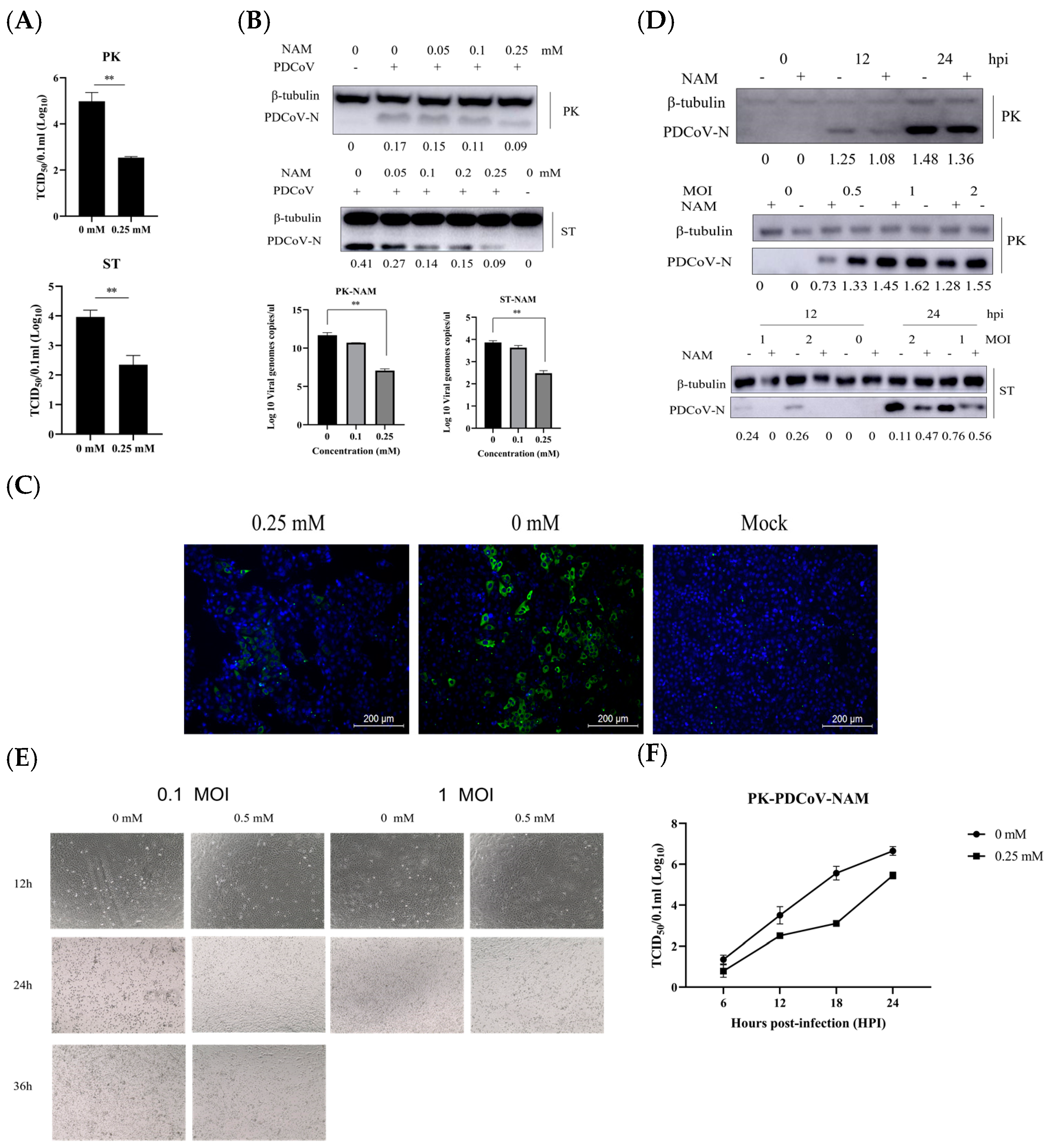 Viruses 15 01591 g003