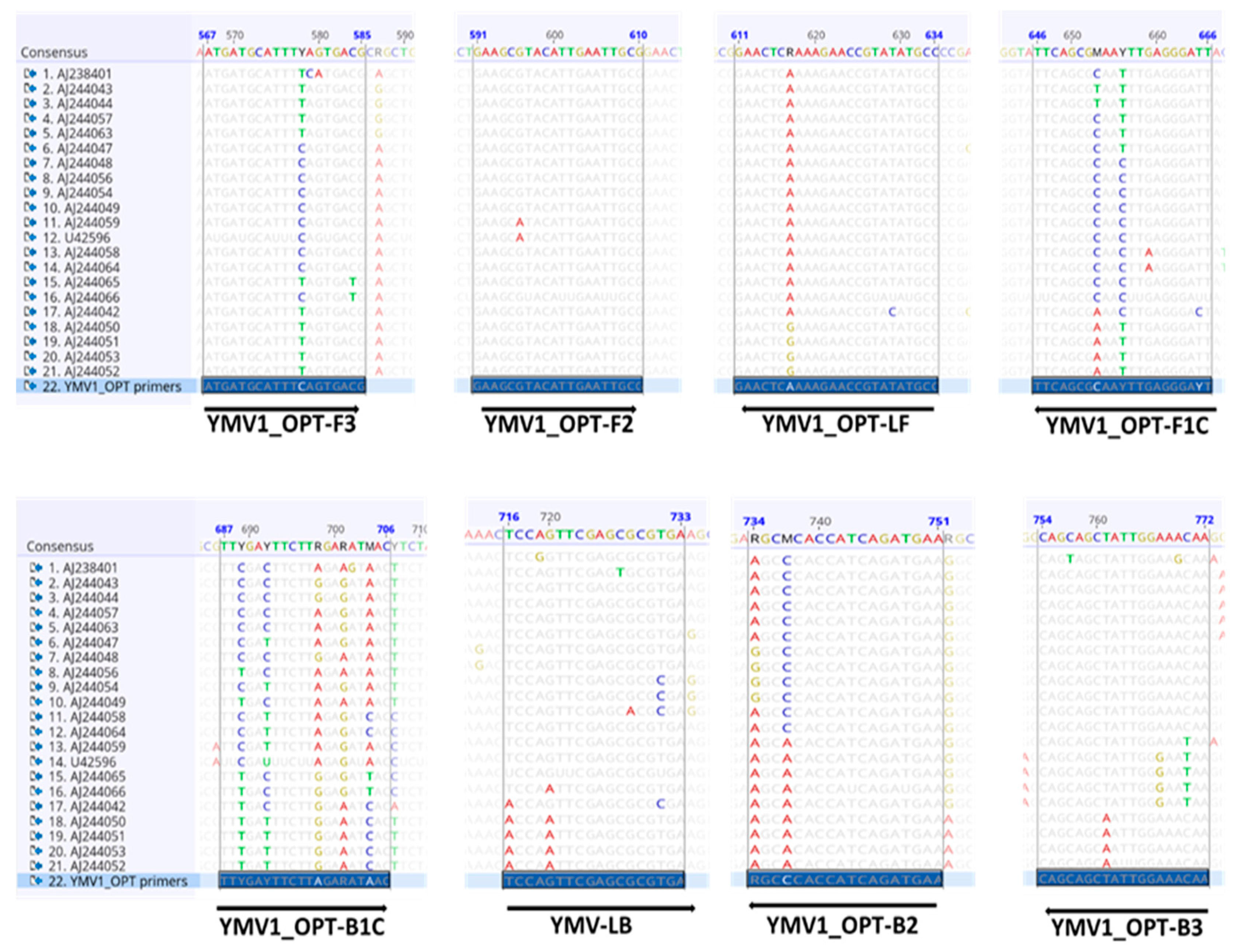 Viruses 15 01592 g003 Viruses 15 01592 g003