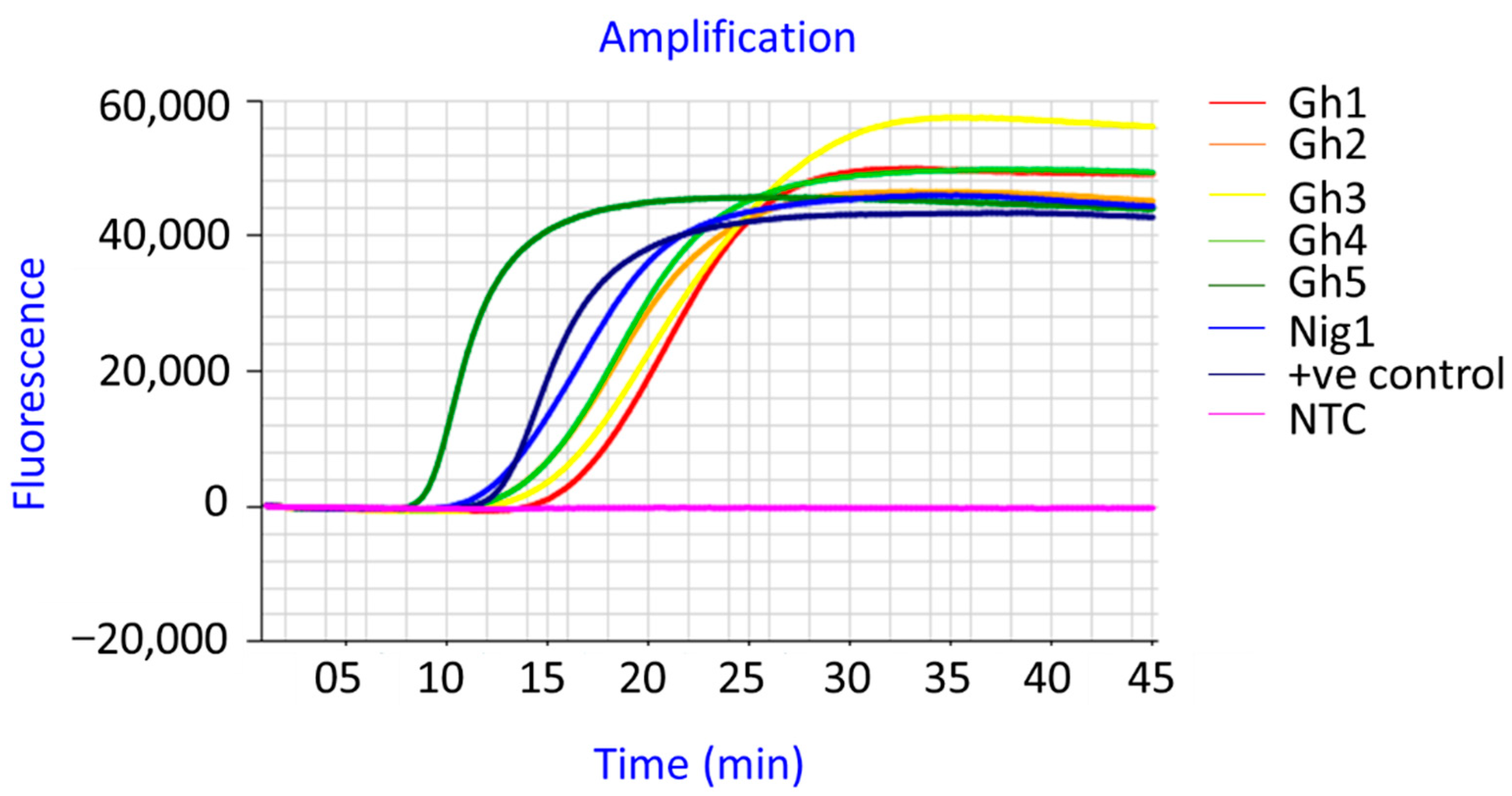 Viruses 15 01592 g004 Viruses 15 01592 g004