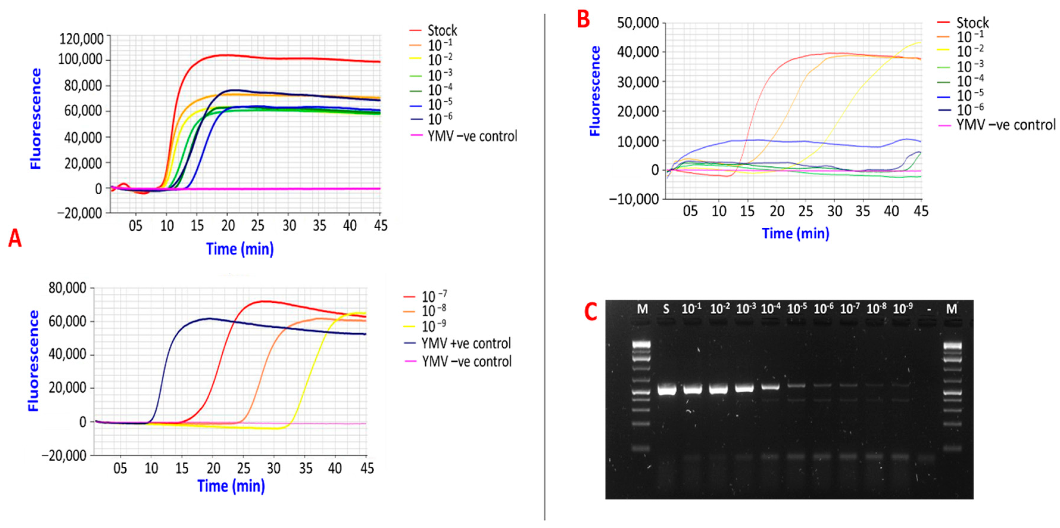 Viruses 15 01592 g005 Viruses 15 01592 g005