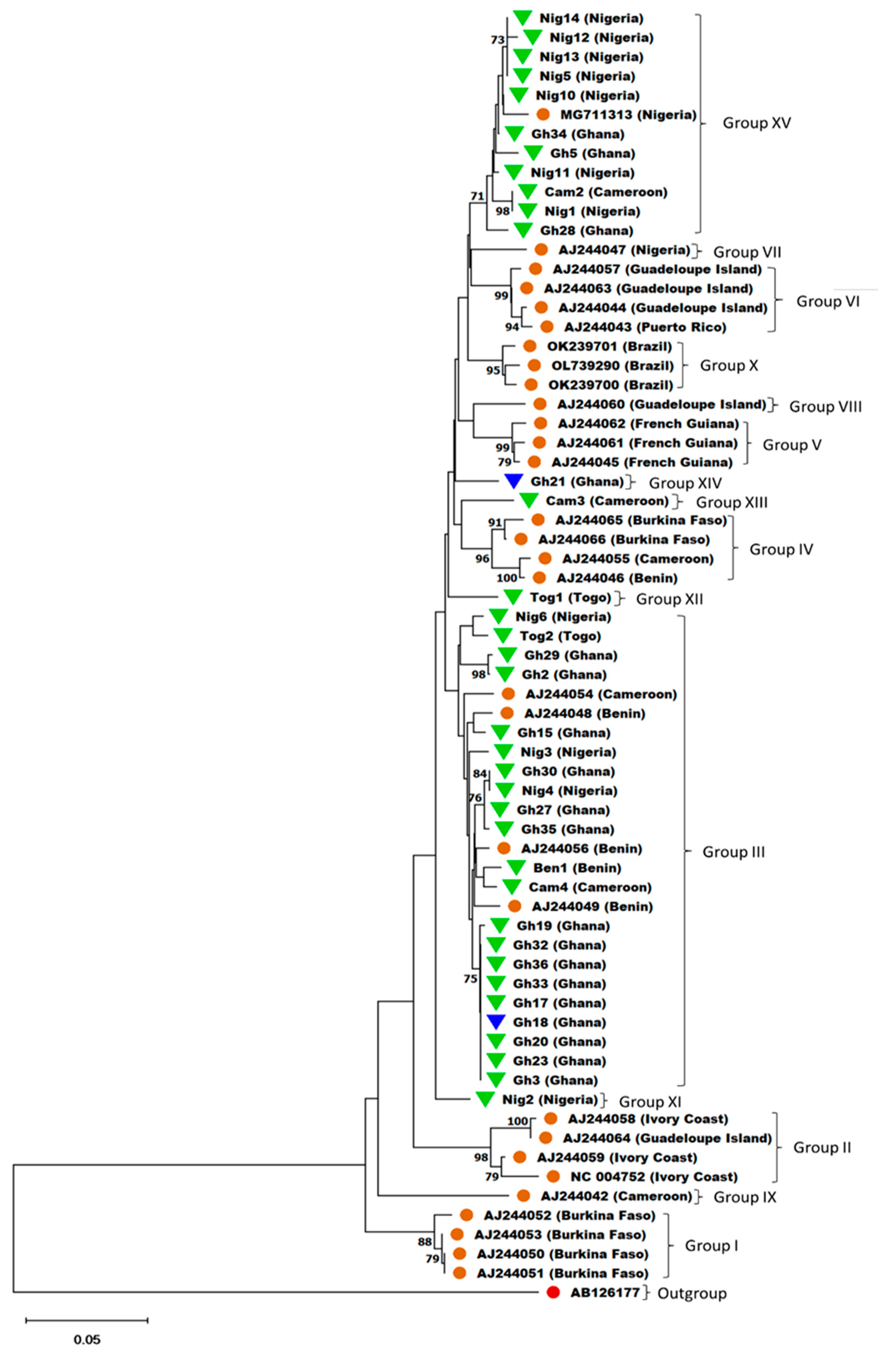Viruses 15 01592 g006 Viruses 15 01592 g006