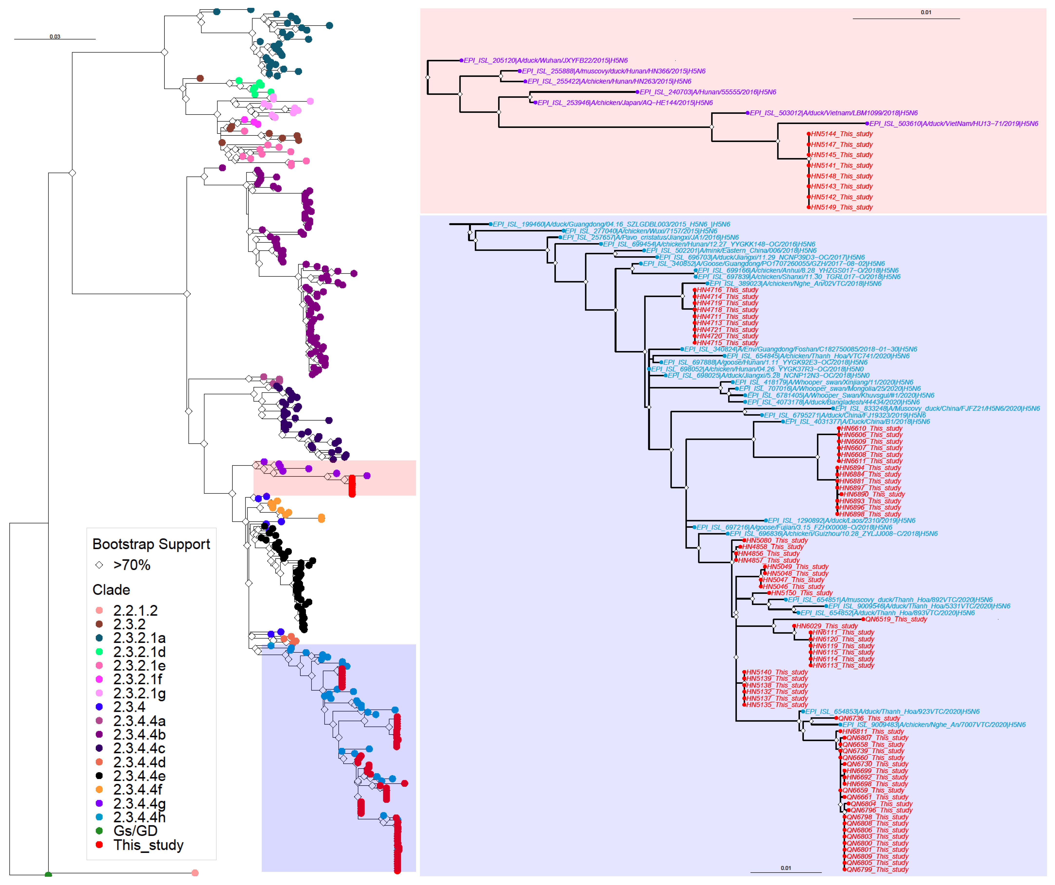 Viruses 15 01596 g002
