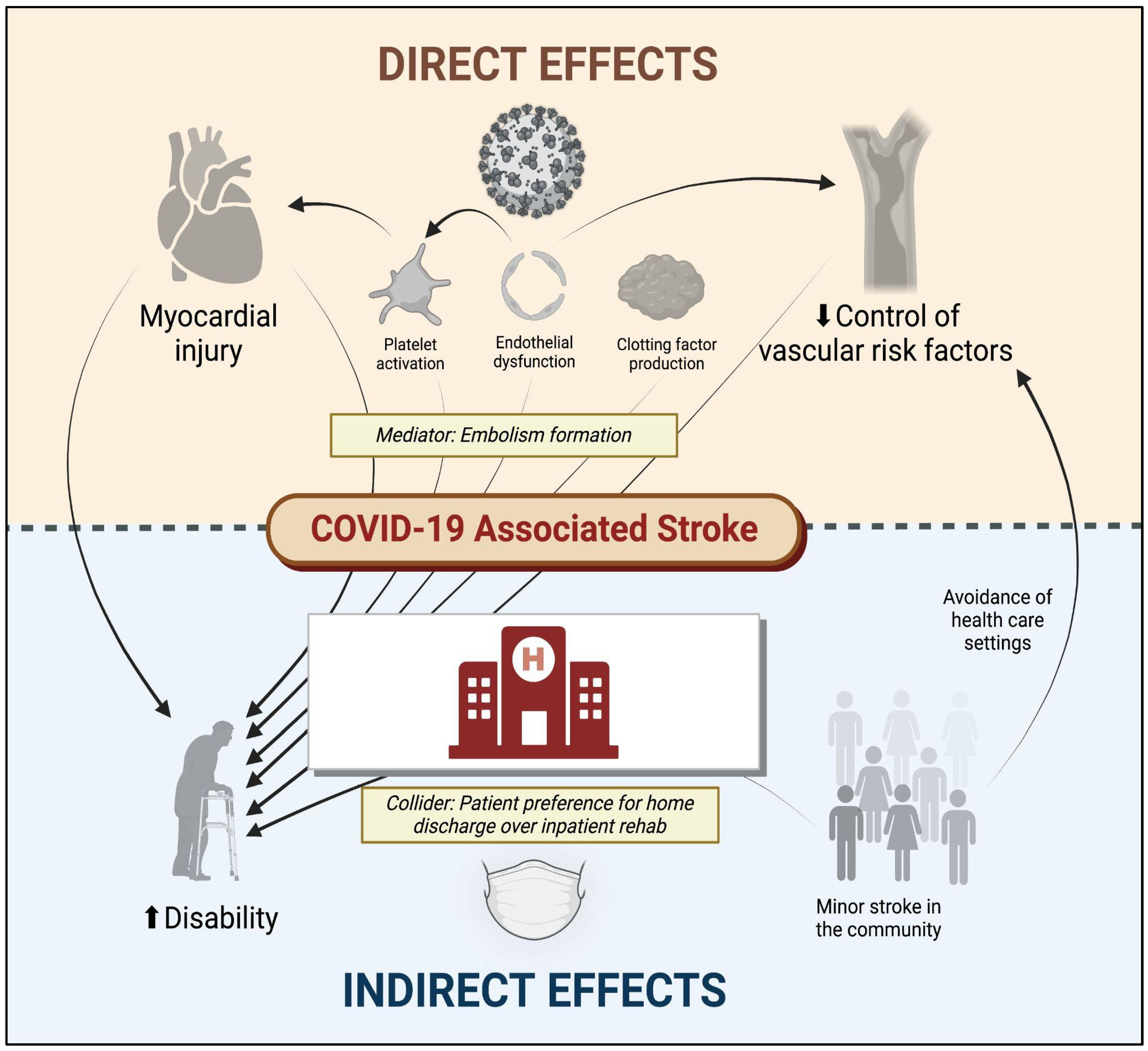 Viruses 15 01598 g001