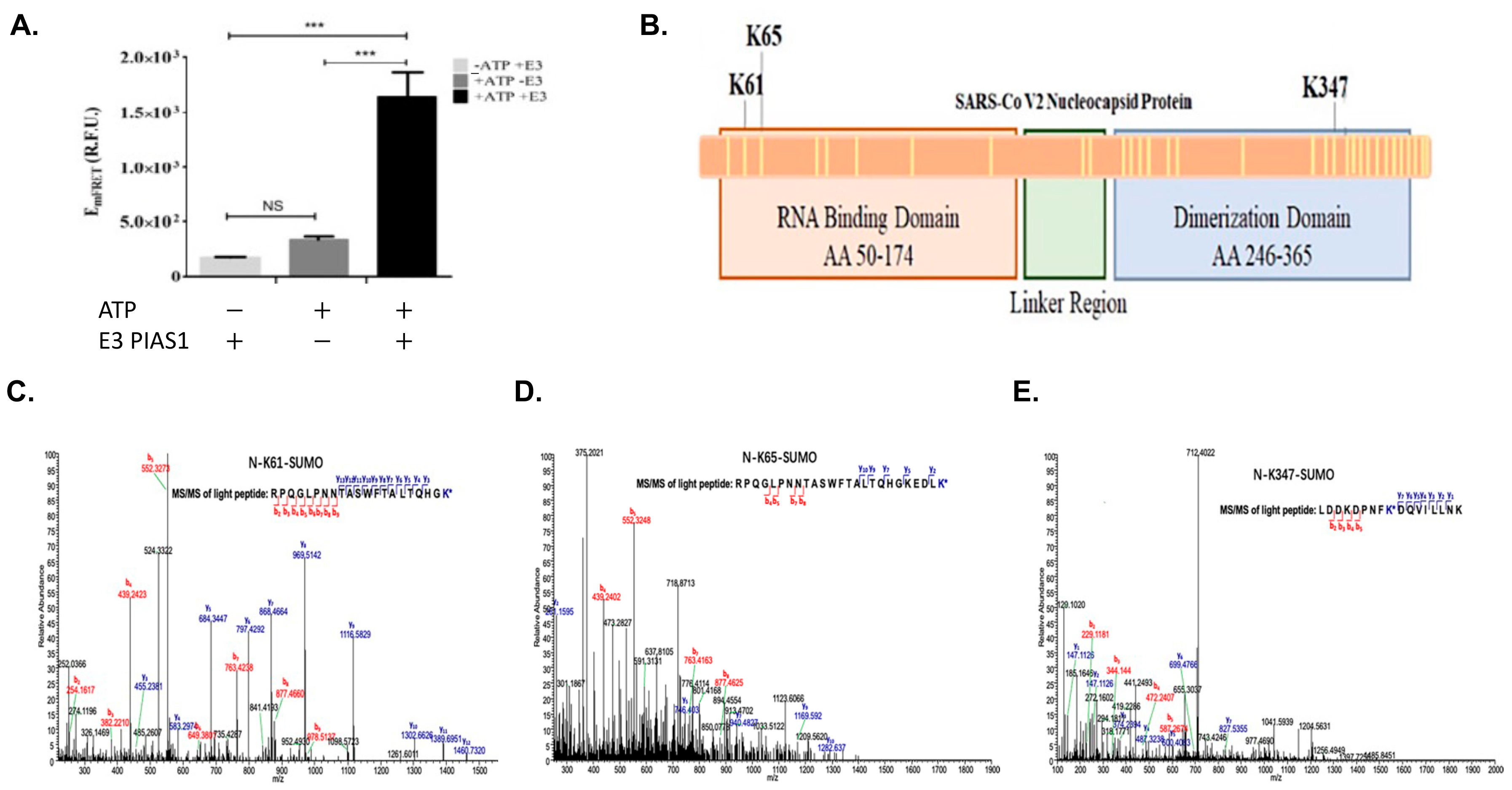 Viruses 15 01600 g002 Viruses 15 01600 g002
