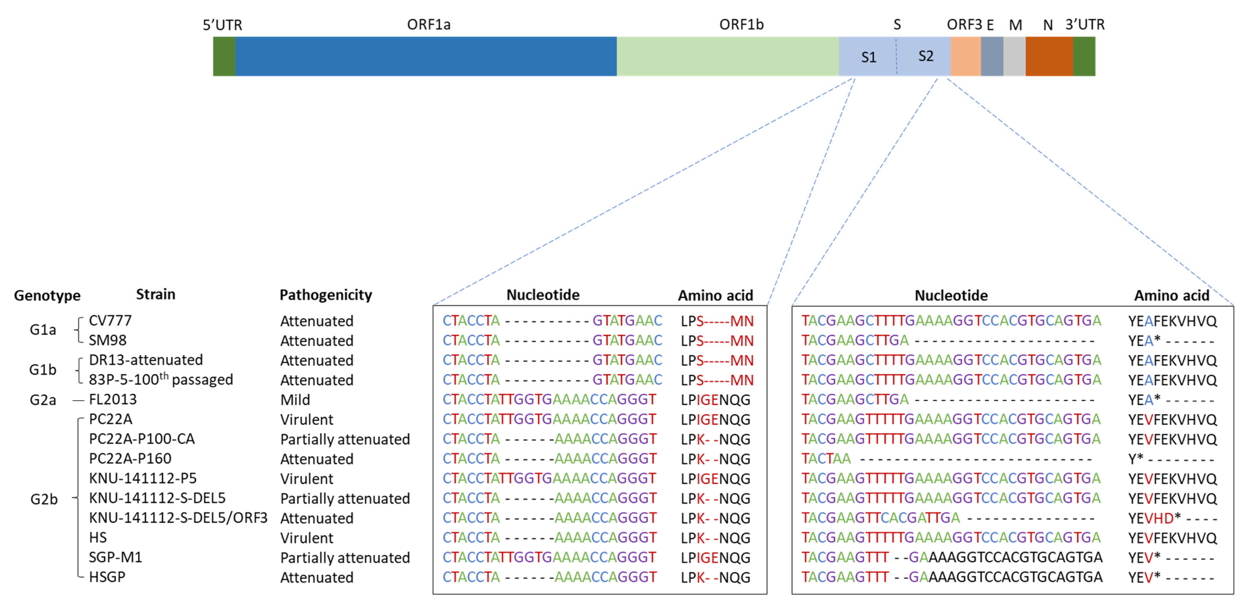Viruses 15 01601 g001