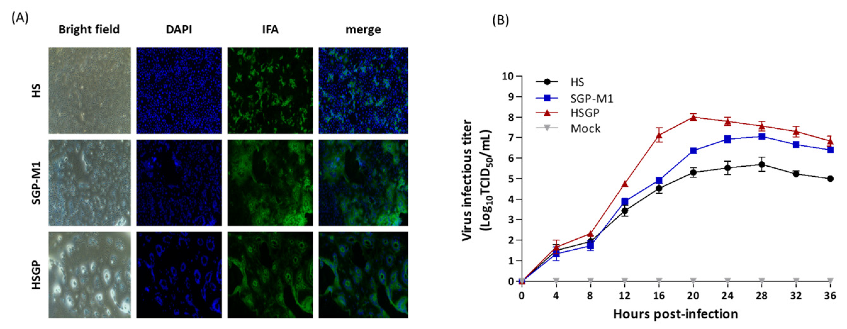 Viruses 15 01601 g003