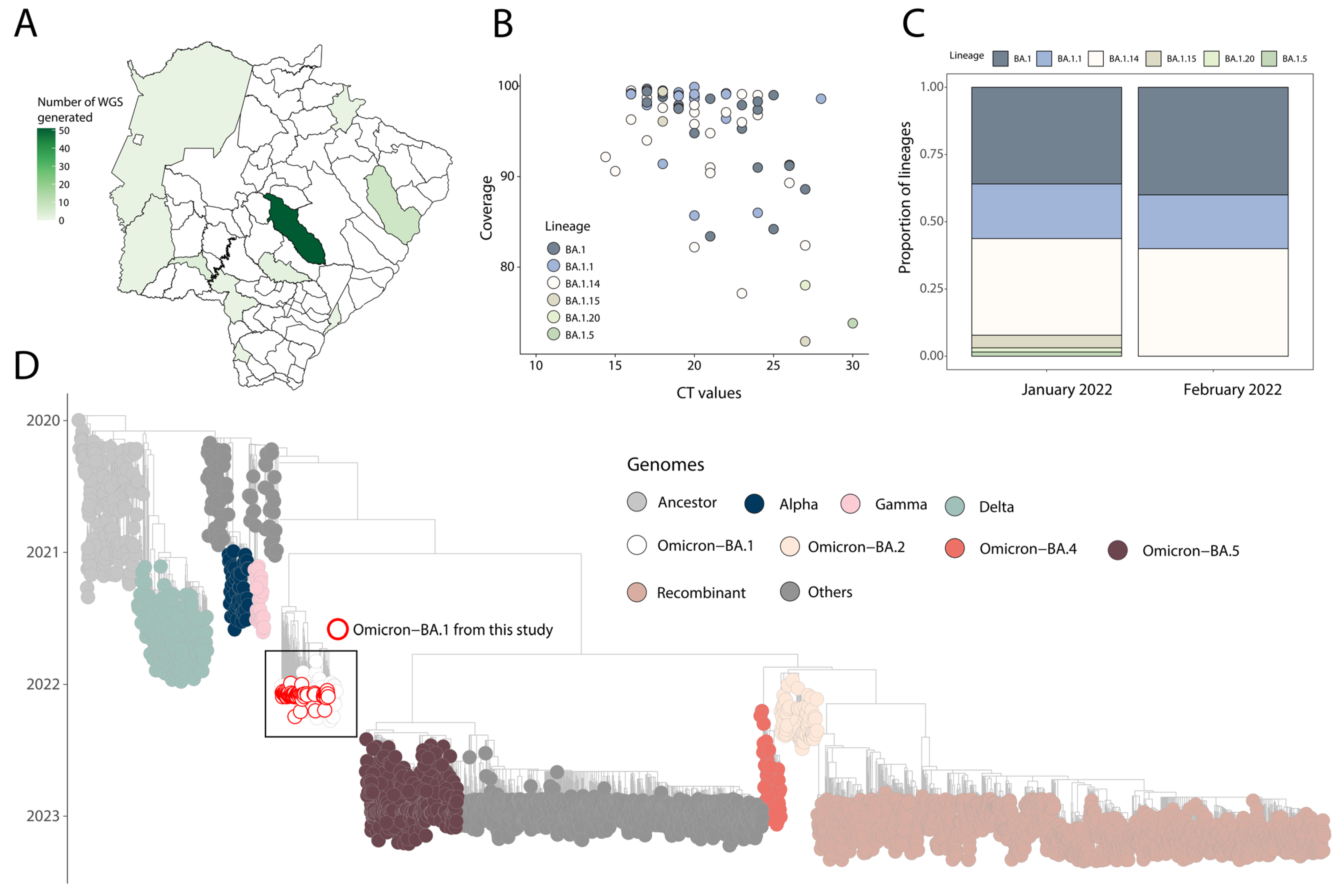 Viruses 15 01604 g002 Viruses 15 01604 g002