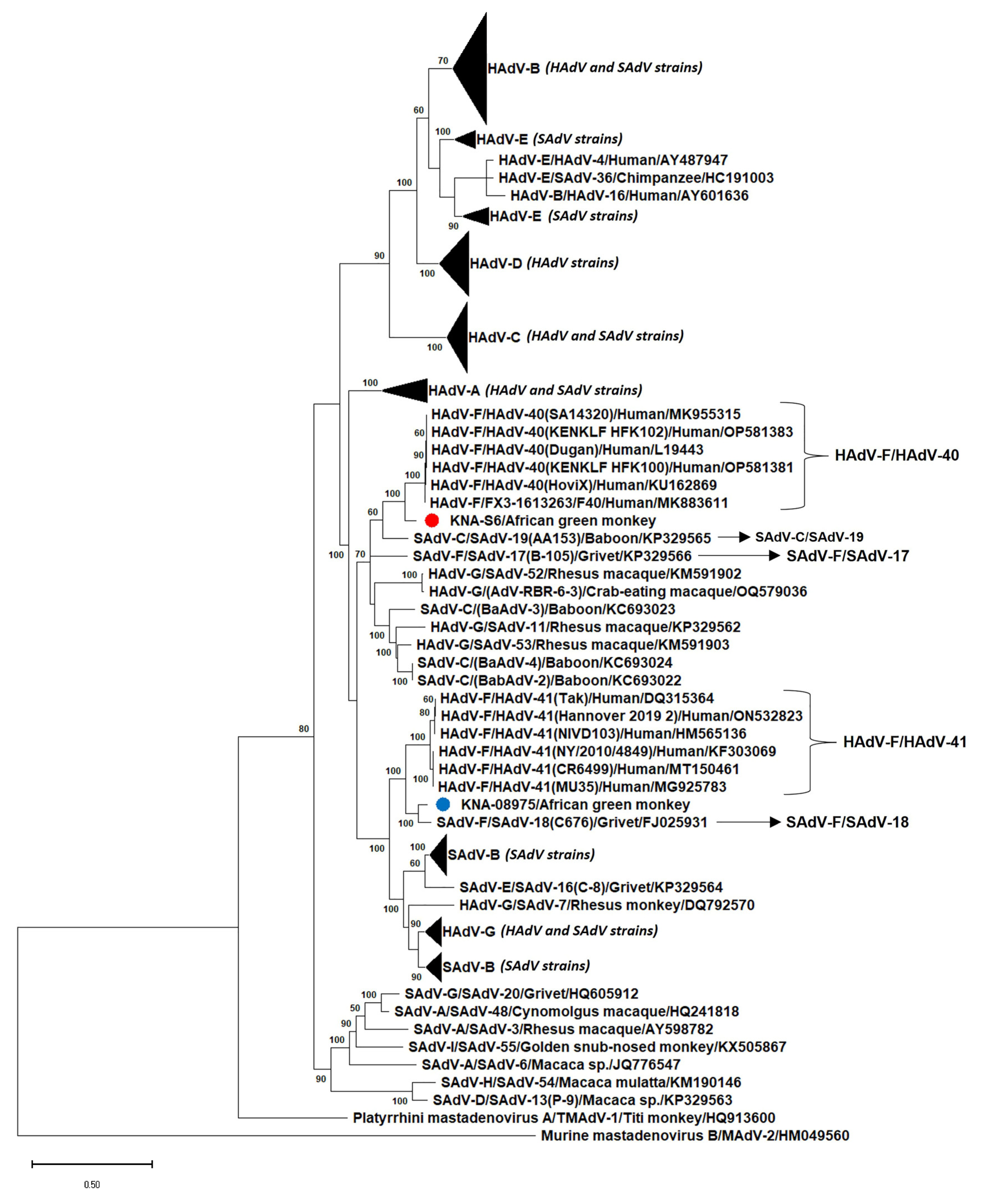 Viruses 15 01605 g004