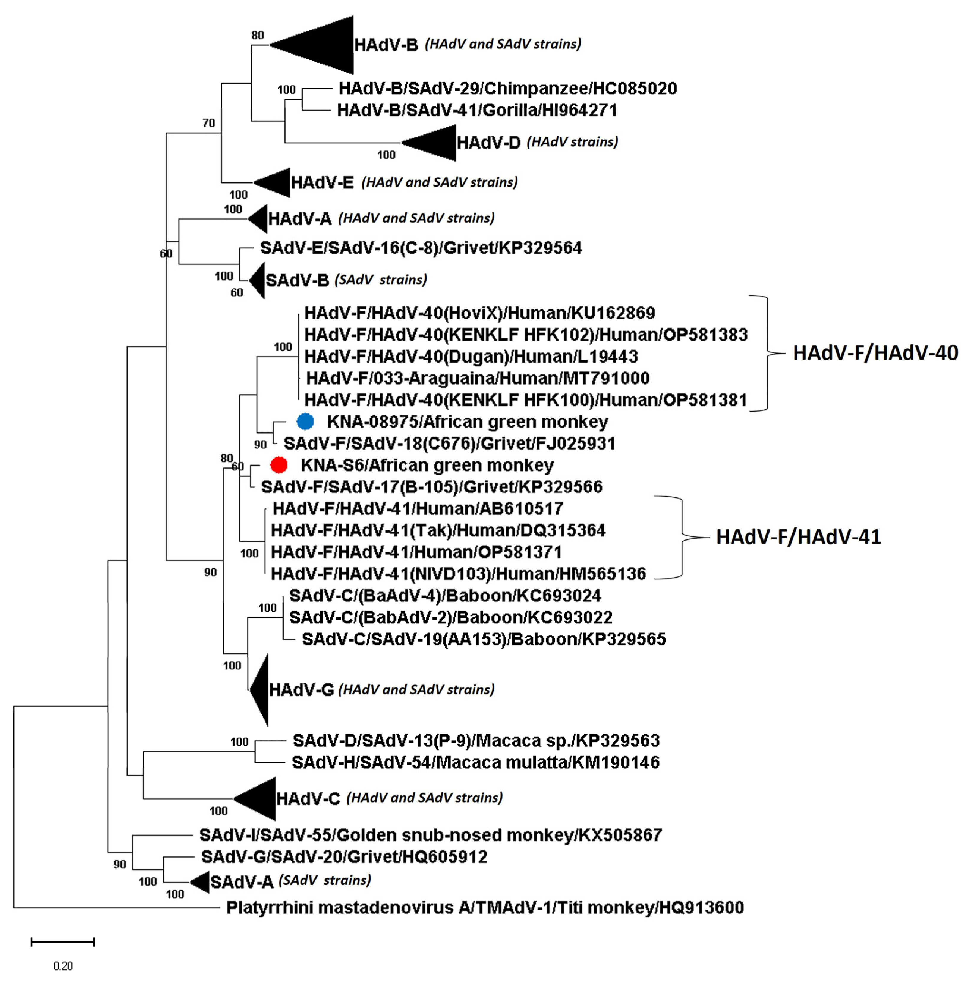 Viruses 15 01605 g005