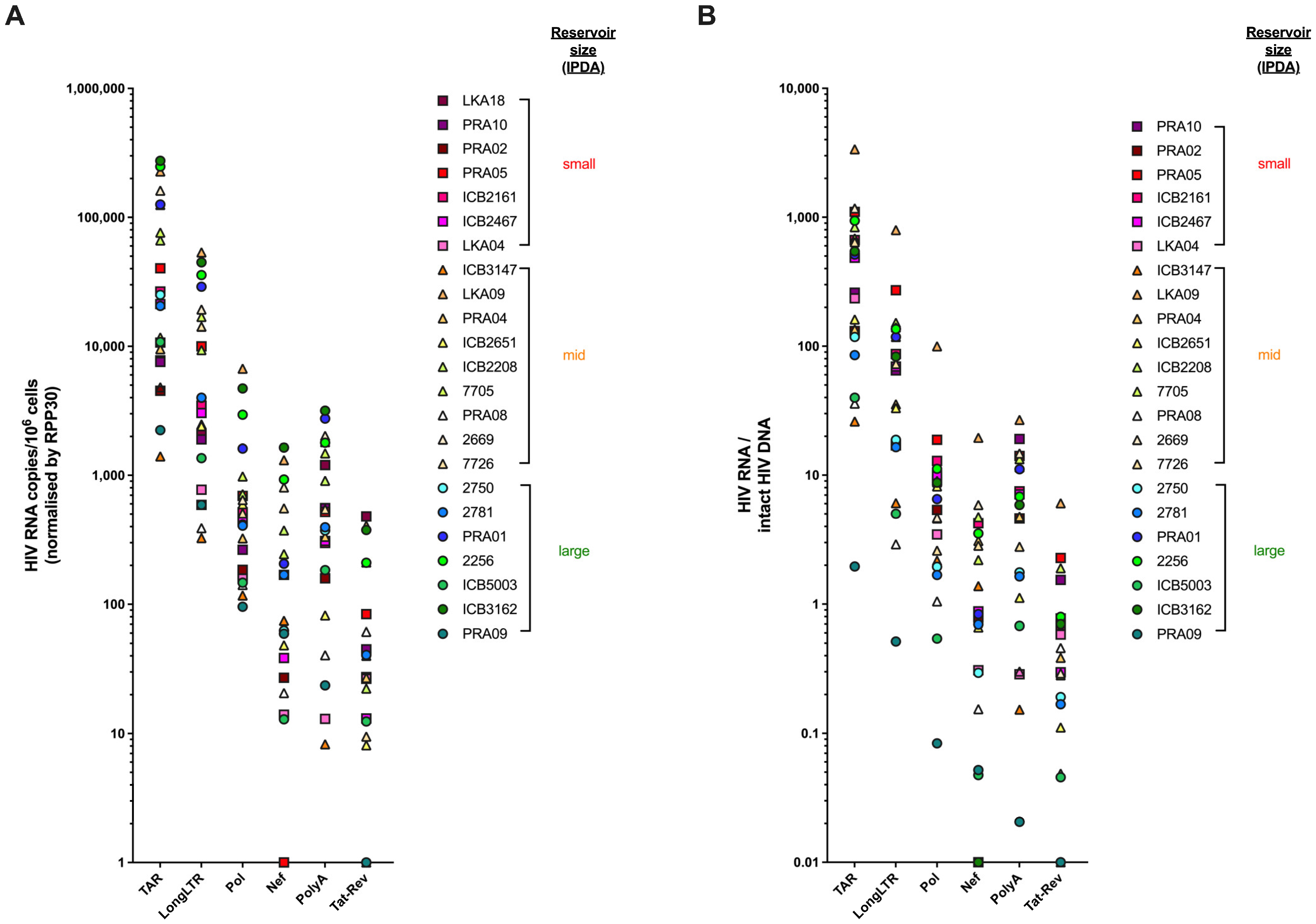 Viruses 15 01606 g003 Viruses 15 01606 g003