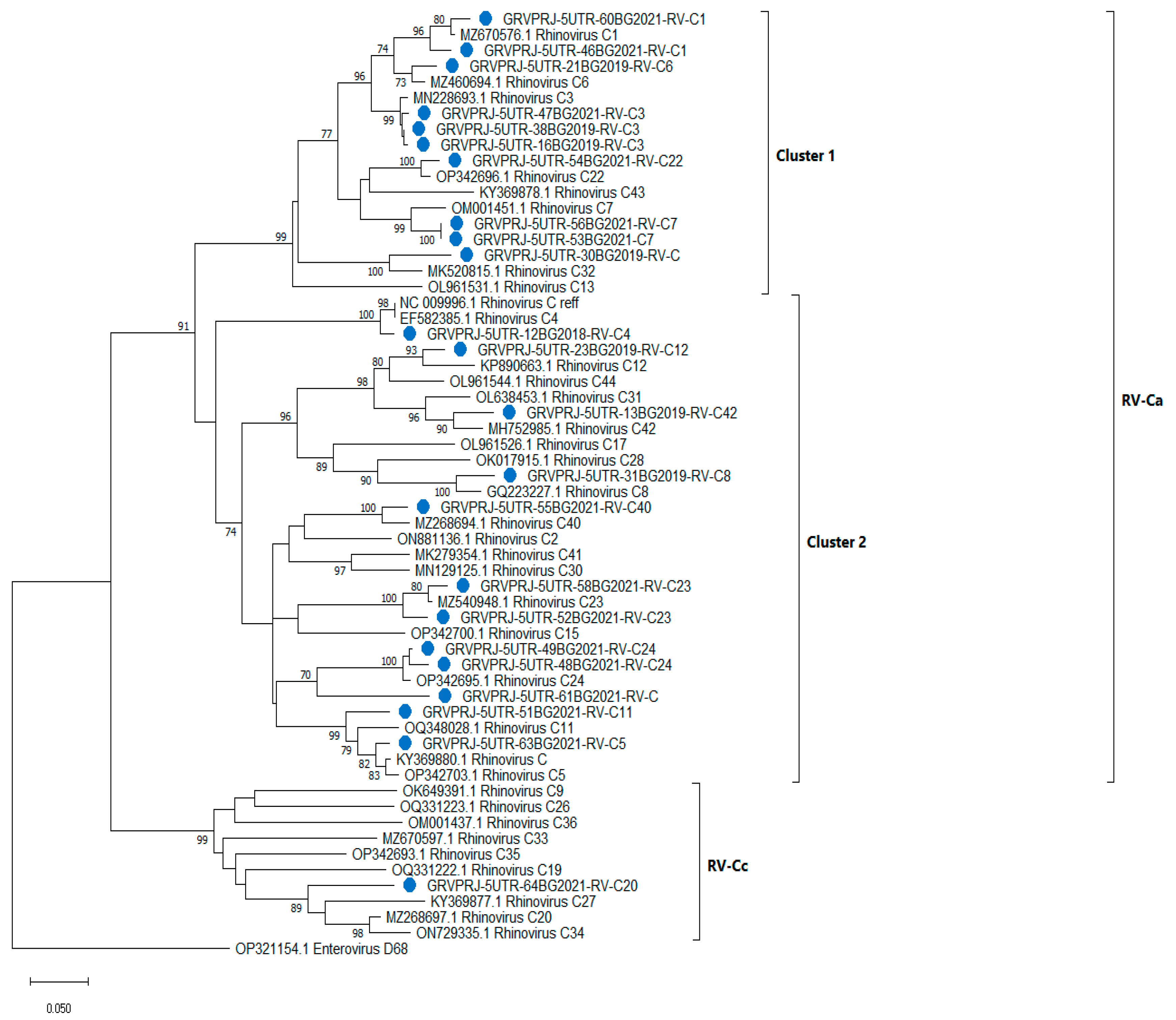 Viruses 15 01608 g002
