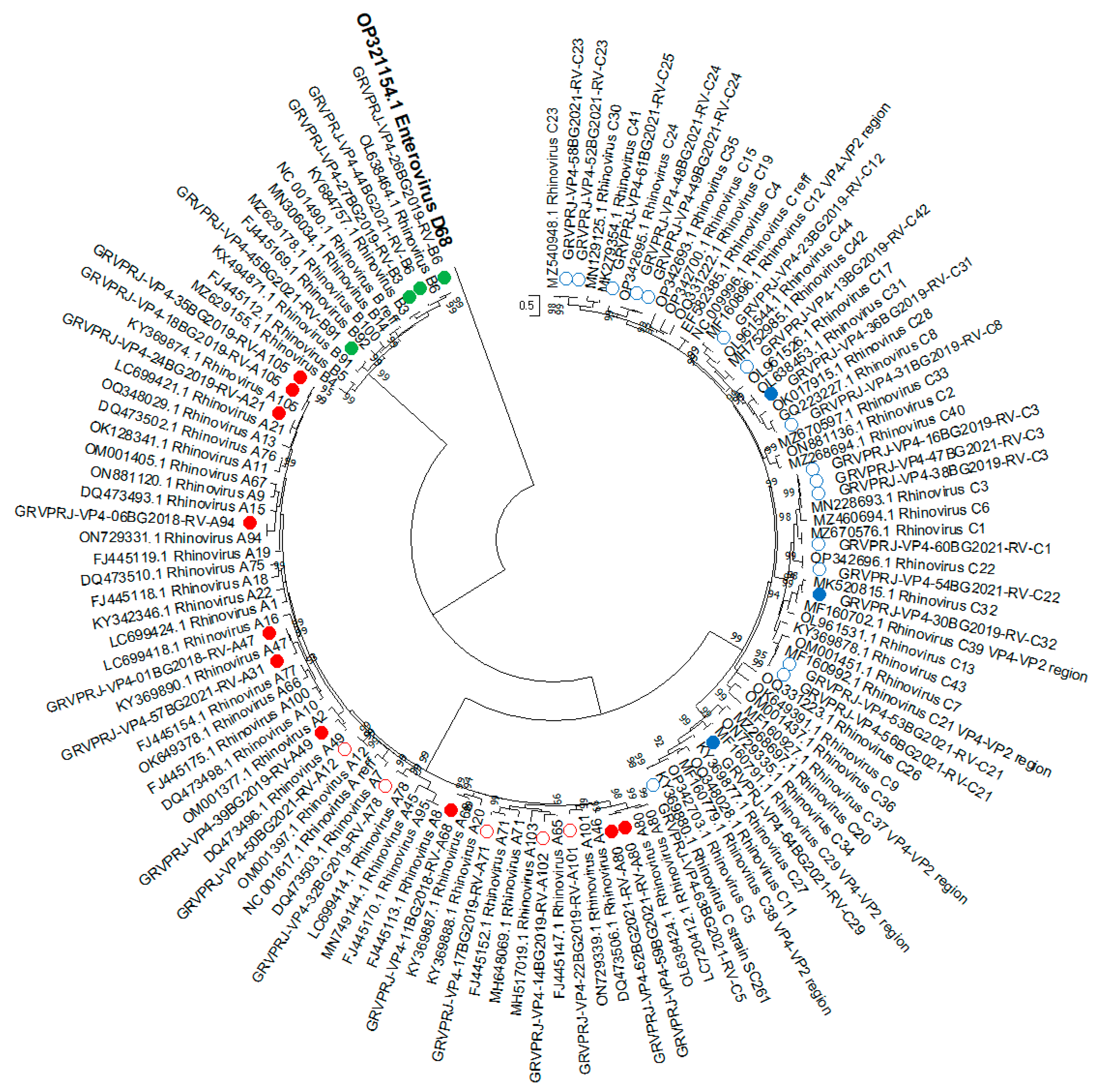Viruses 15 01608 g003
