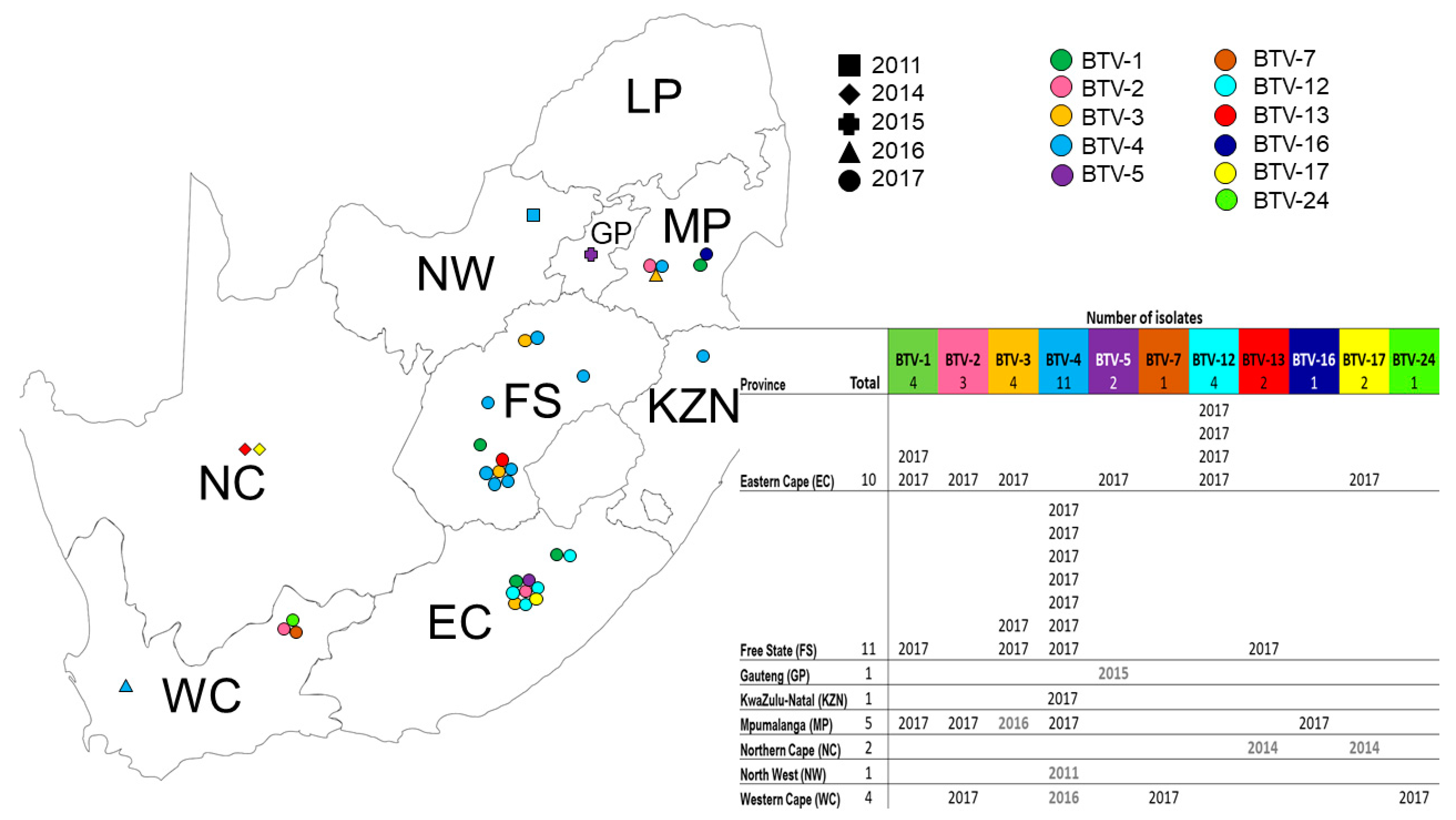 Viruses 15 01611 g001
