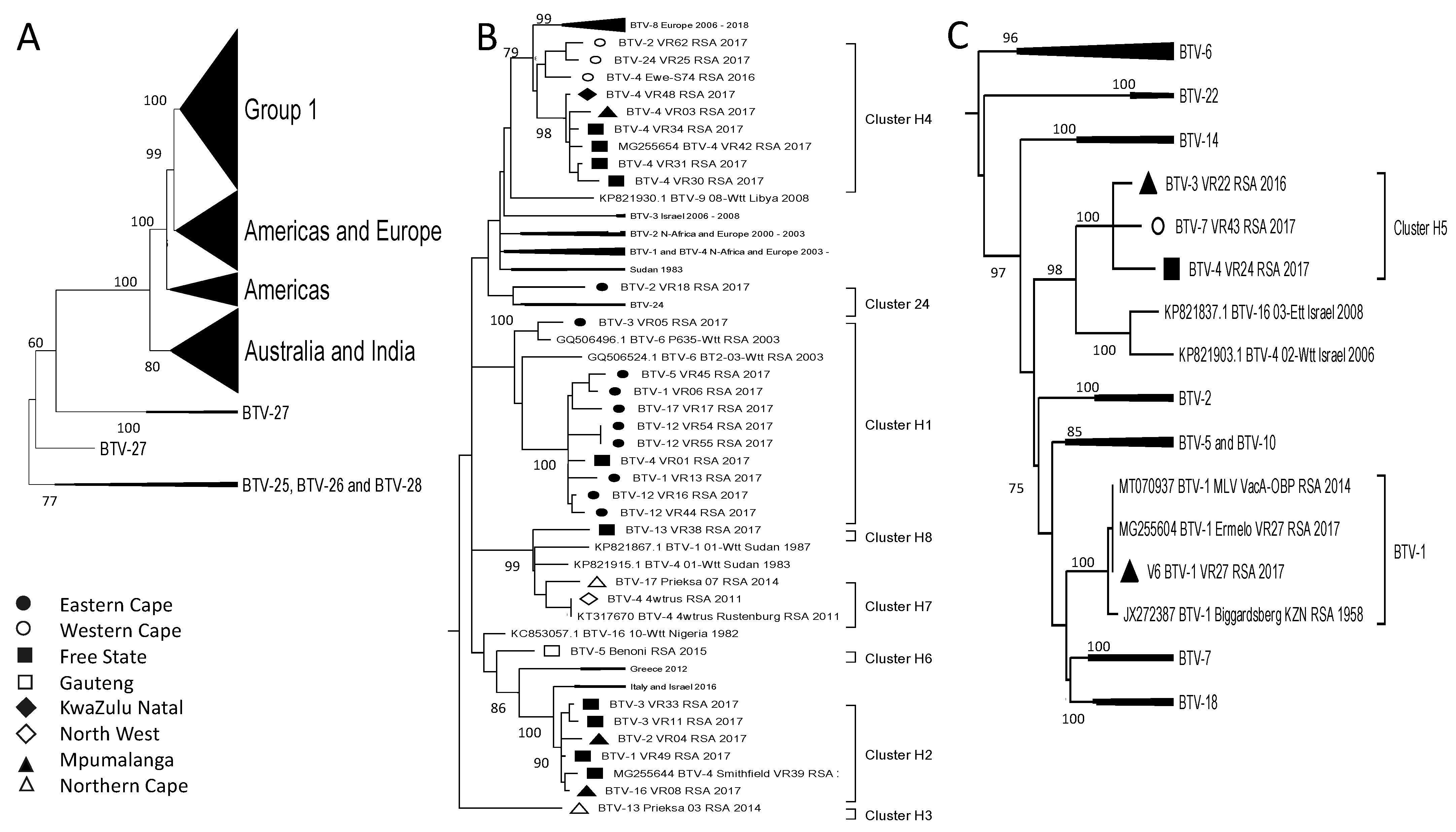 Viruses 15 01611 g009
