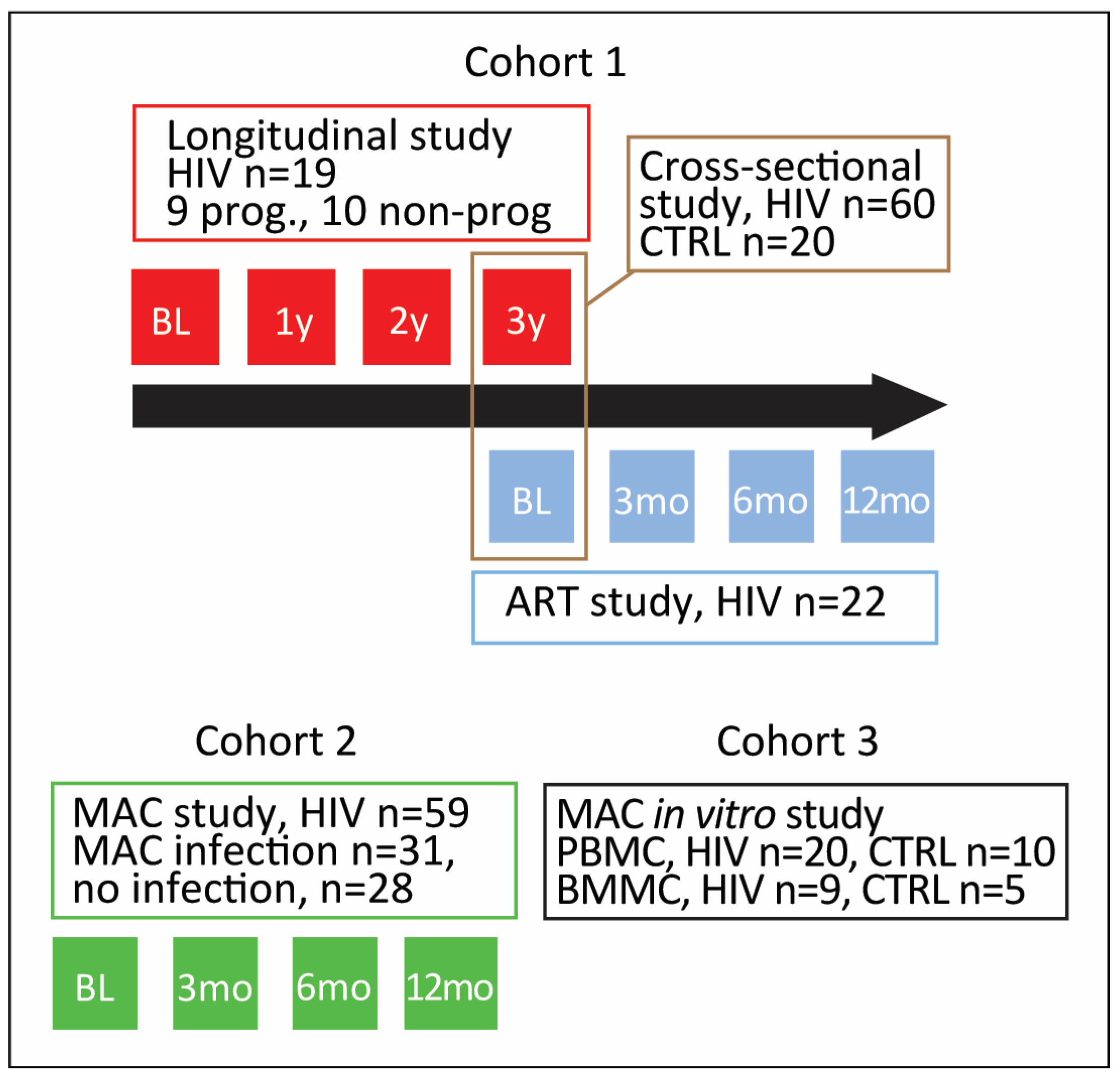 Viruses 15 01613 g001 Viruses 15 01613 g001