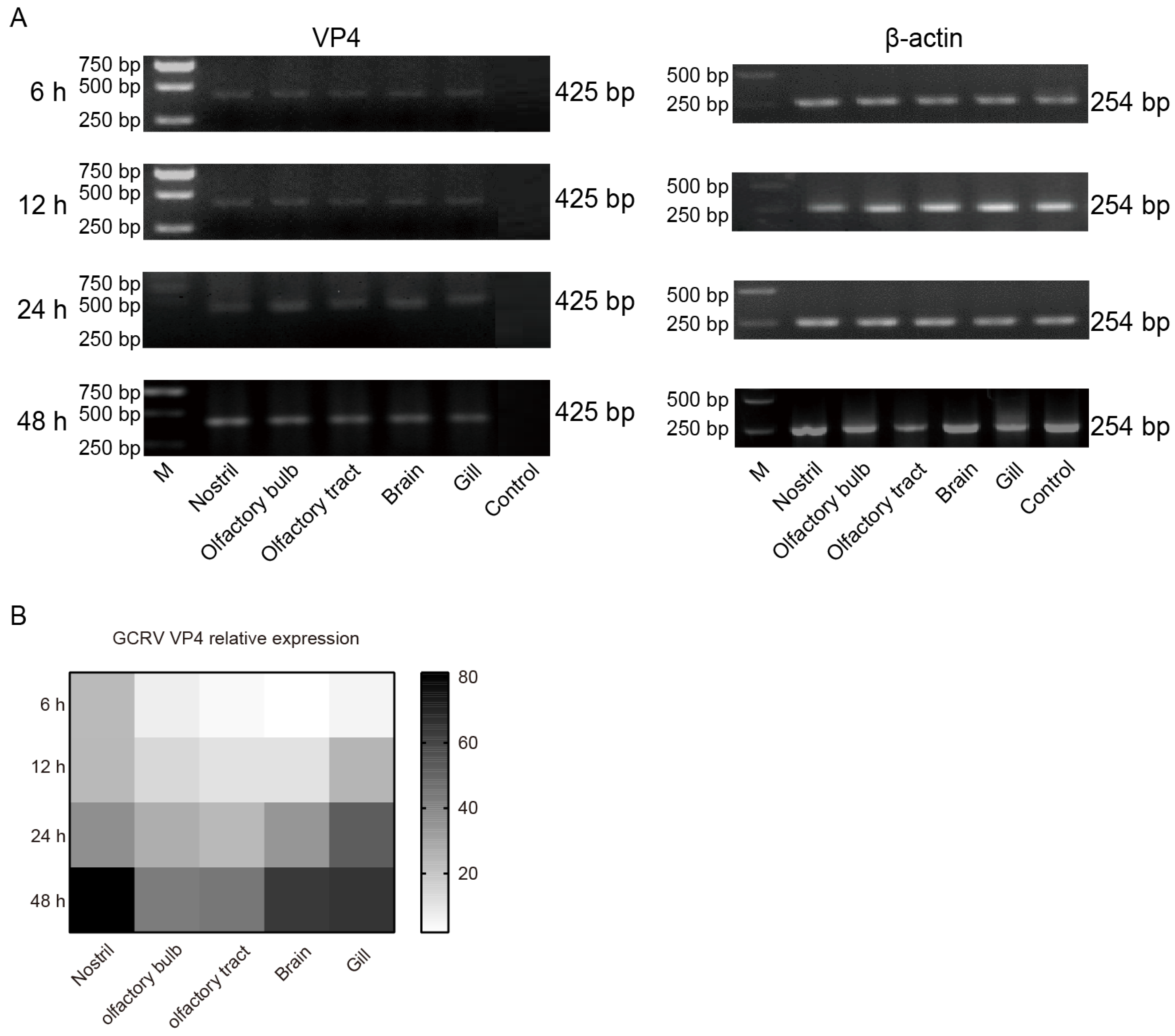 Viruses 15 01614 g006 Viruses 15 01614 g006