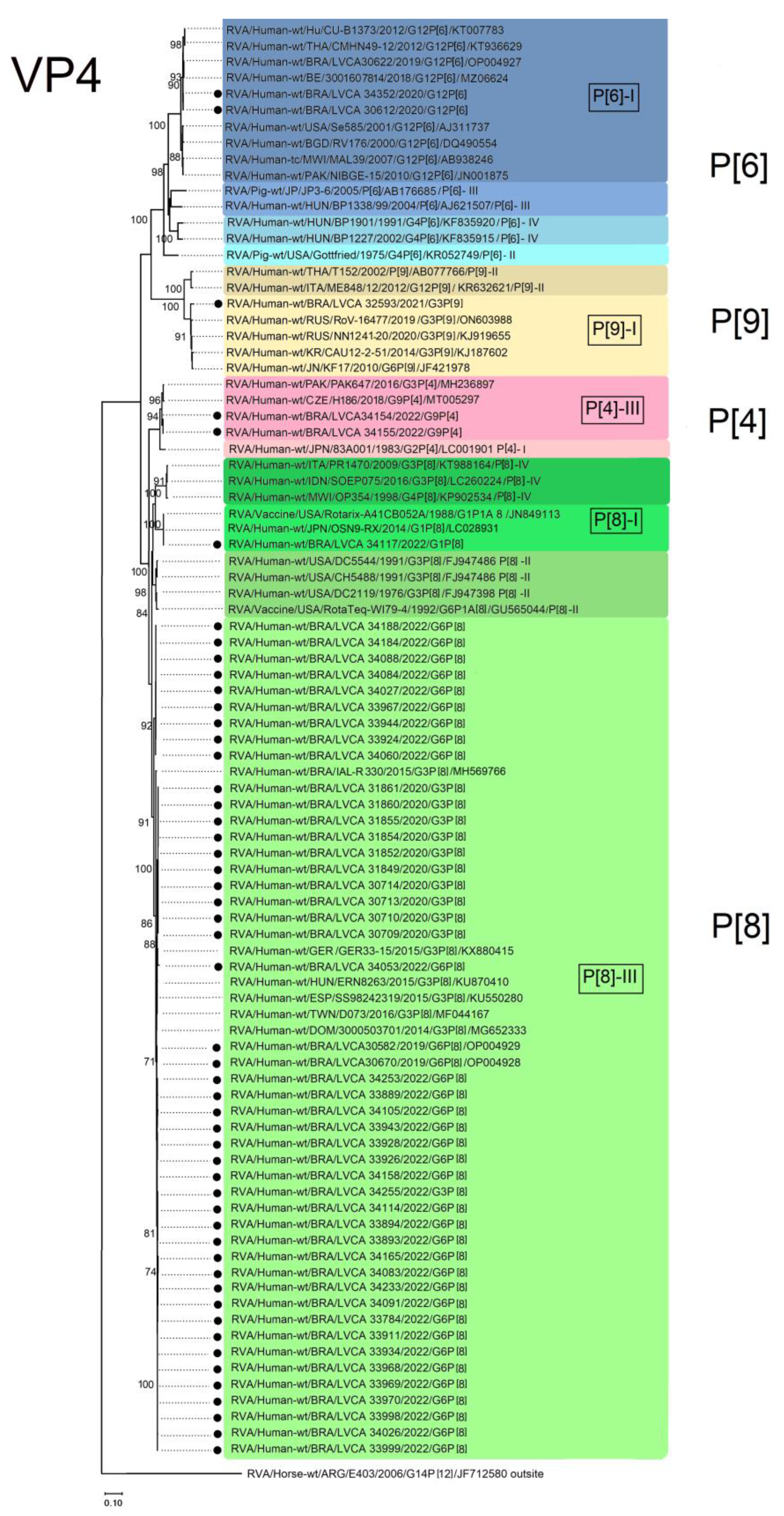 Viruses 15 01619 g005 Viruses 15 01619 g005