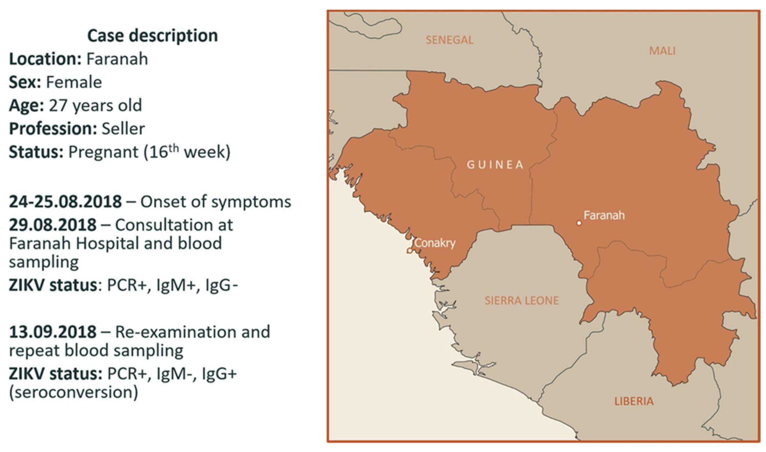 Viruses 15 01620 g001 Viruses 15 01620 g001