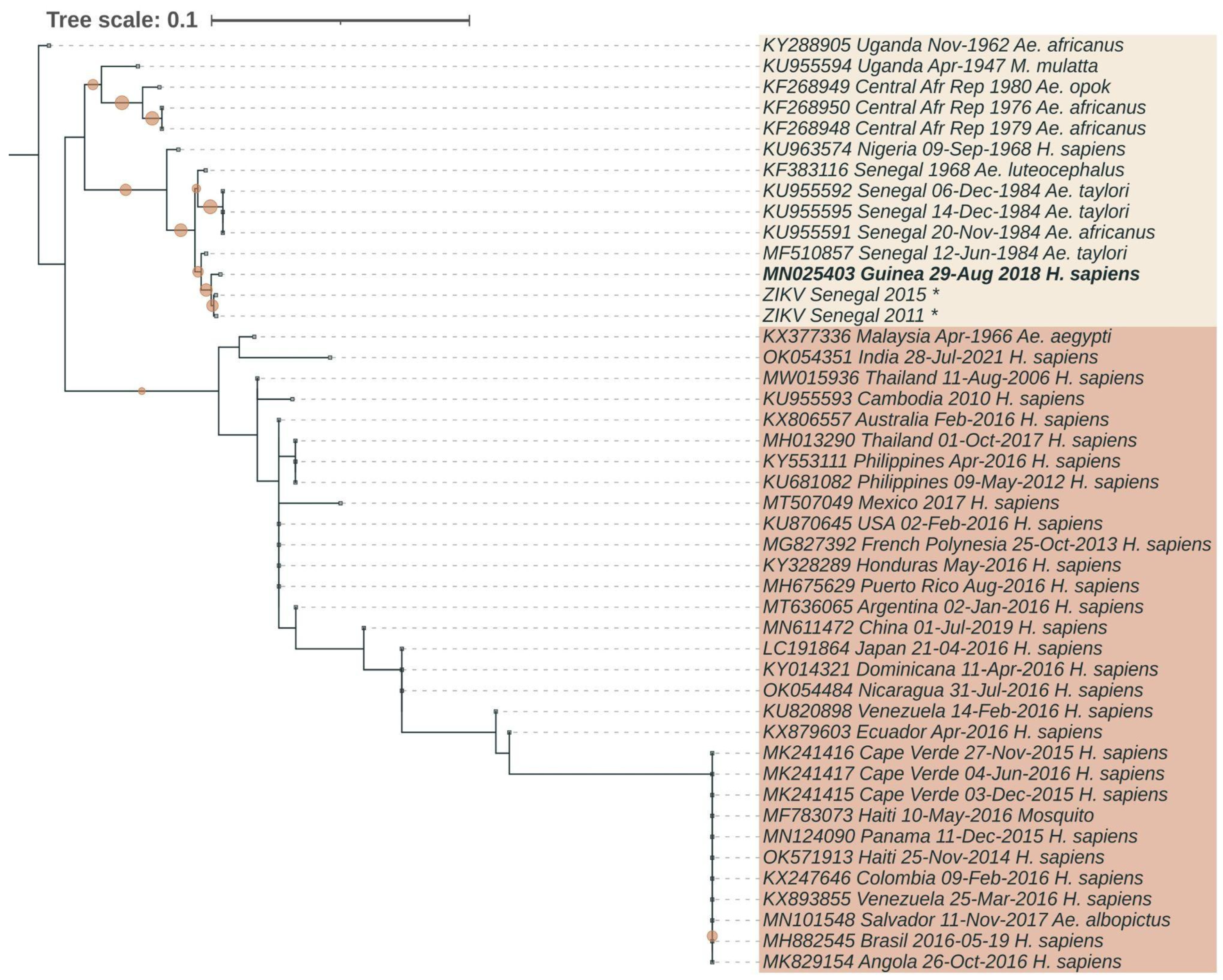 Viruses 15 01620 g002 Viruses 15 01620 g002