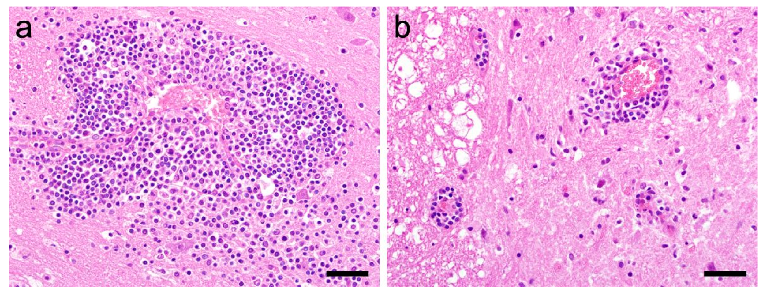 Viruses 15 01621 g002 Viruses 15 01621 g002
