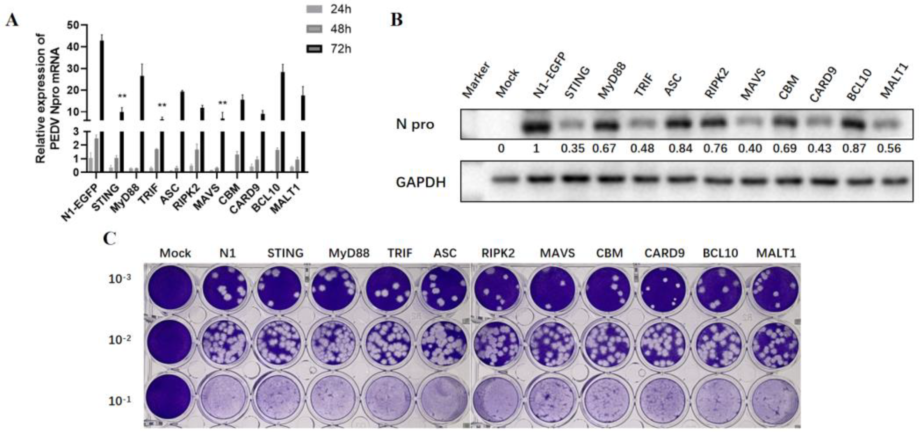 Viruses 15 01629 g003