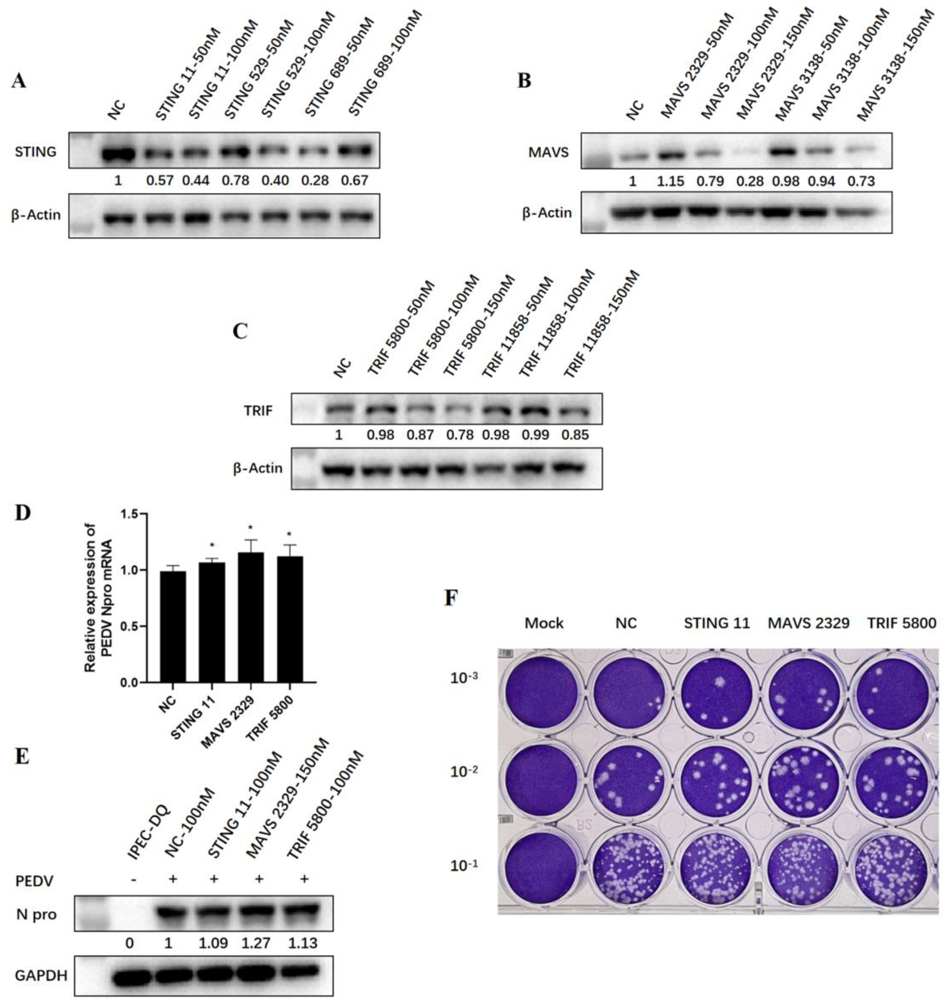 Viruses 15 01629 g007