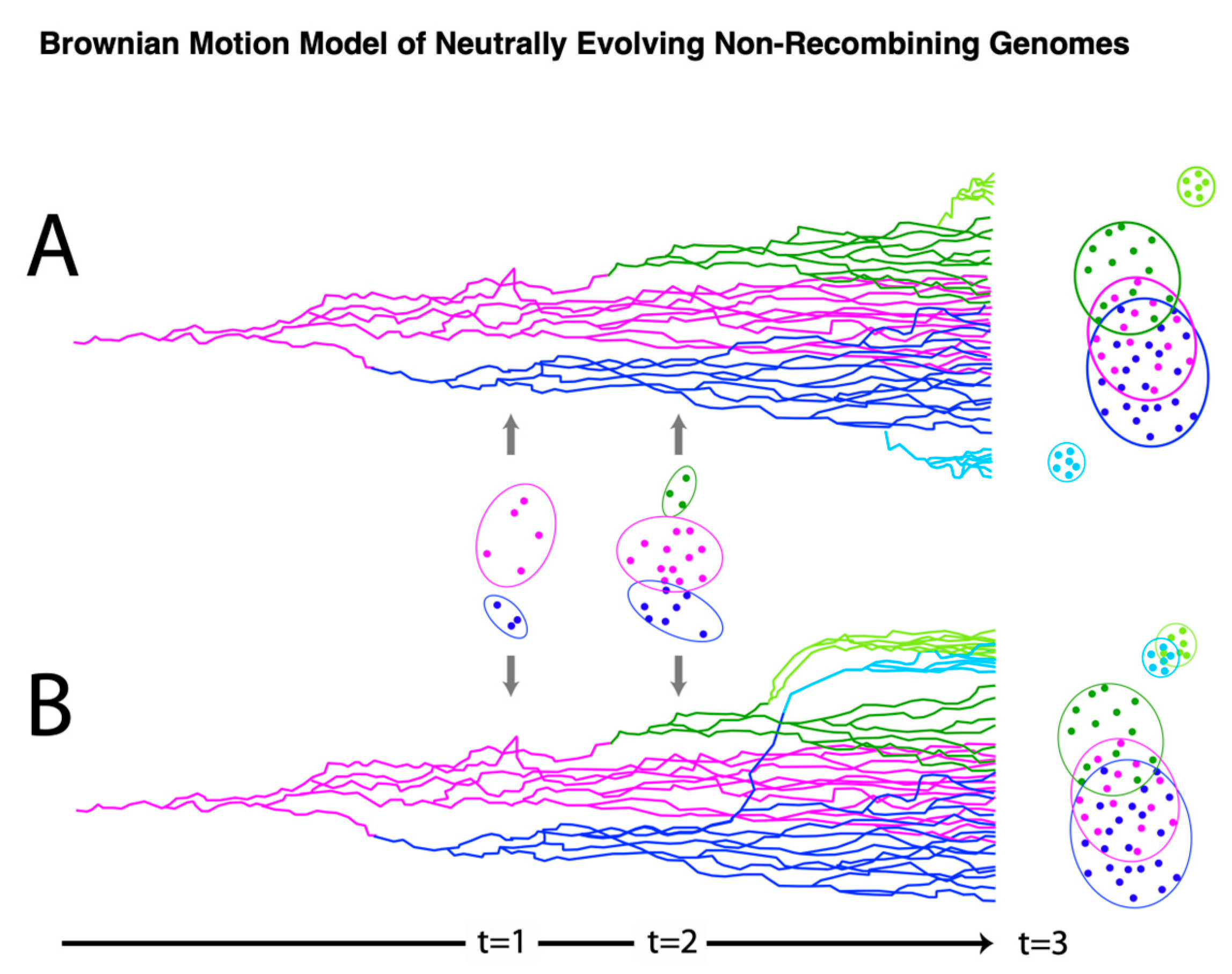 Viruses 15 01631 g003 Viruses 15 01631 g003