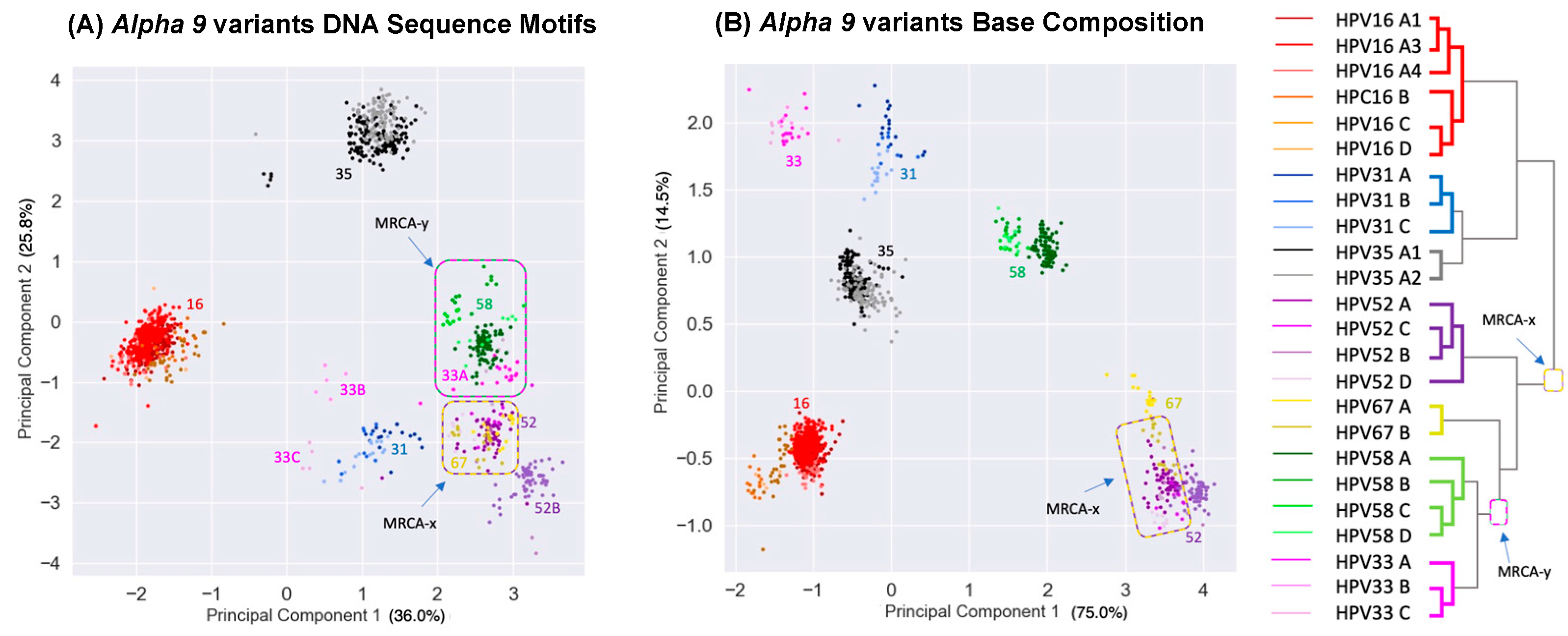 Viruses 15 01631 g005 Viruses 15 01631 g005