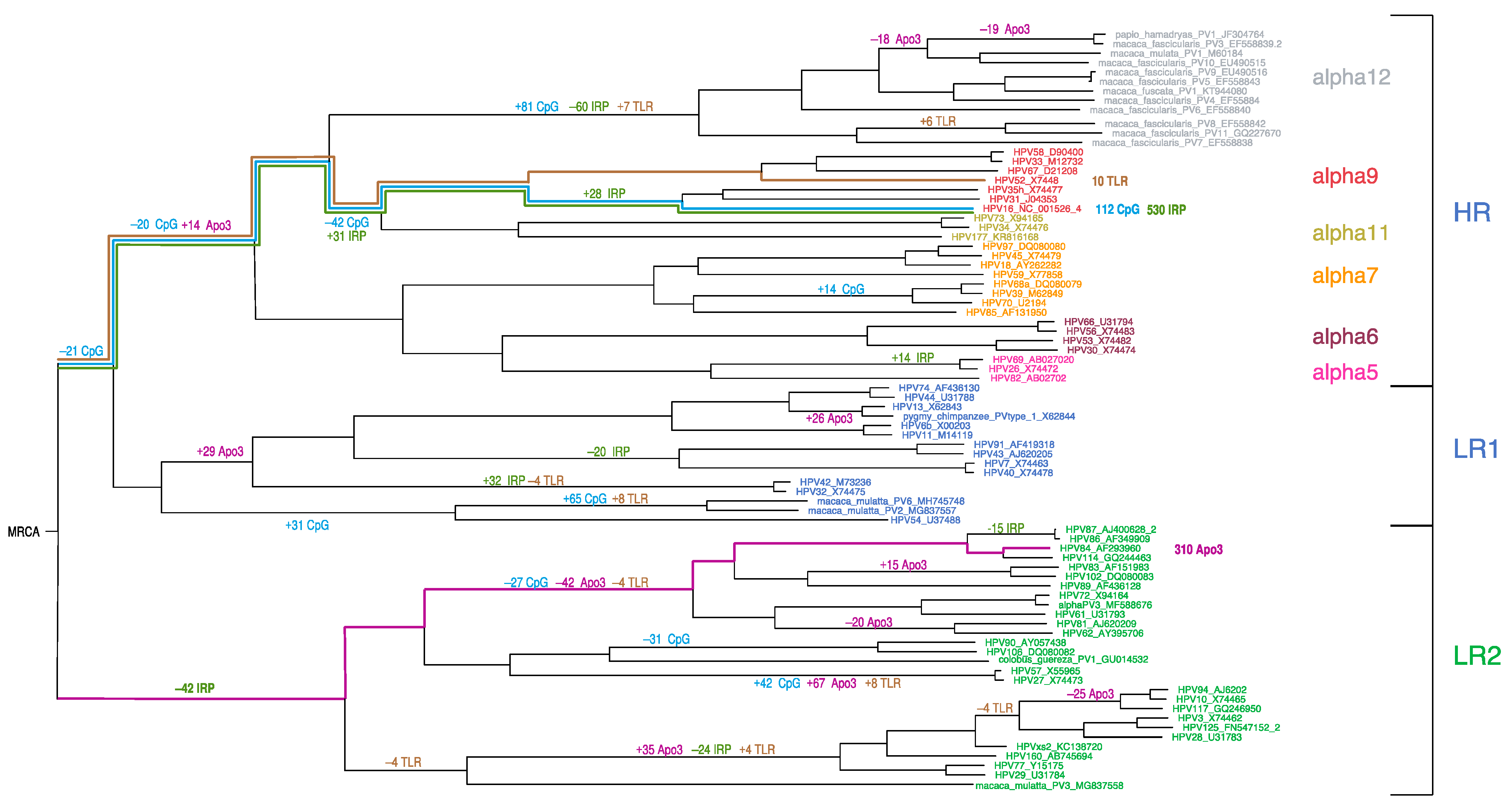 Viruses 15 01631 g006 Viruses 15 01631 g006