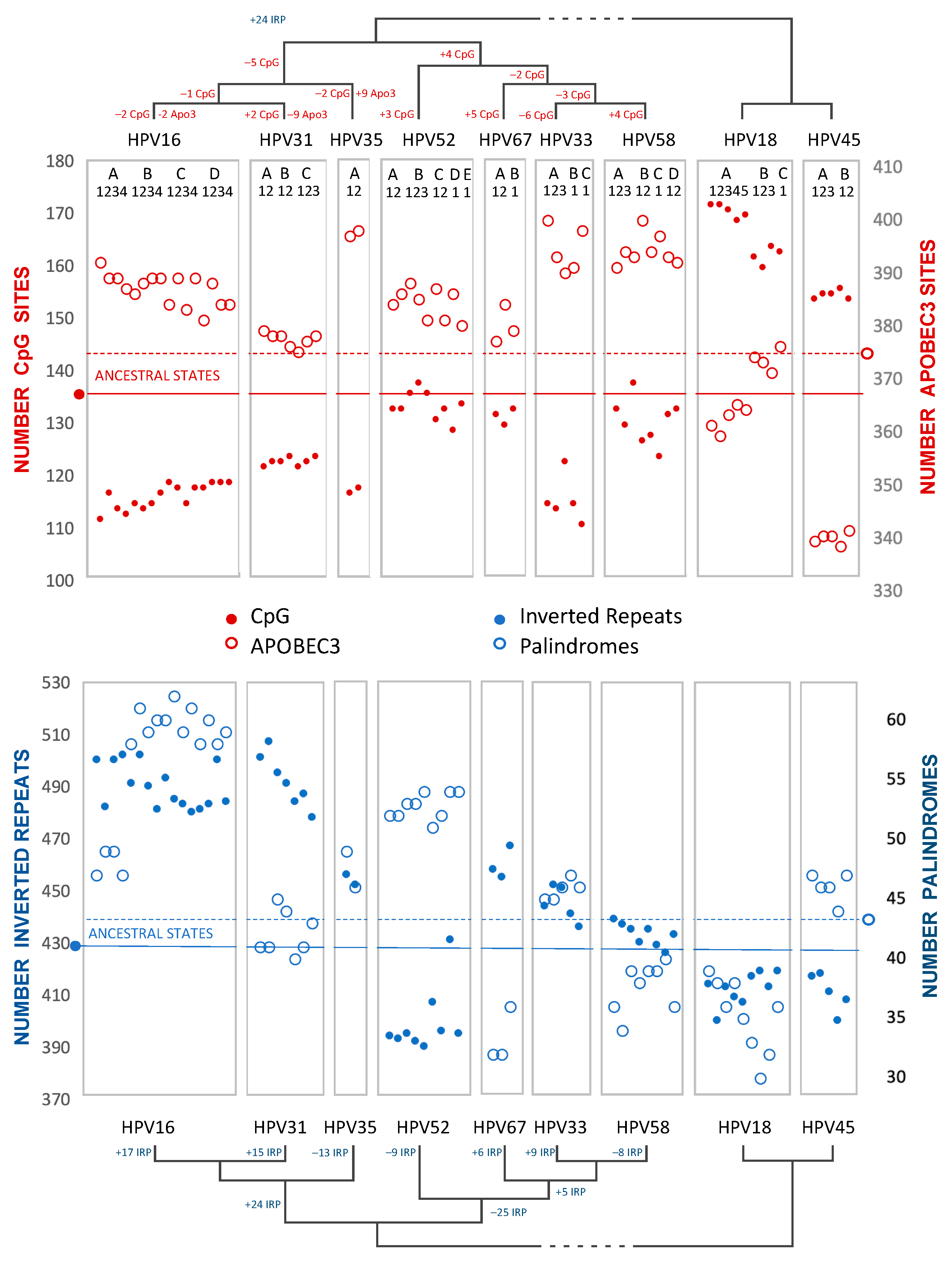 Viruses 15 01631 g007 Viruses 15 01631 g007