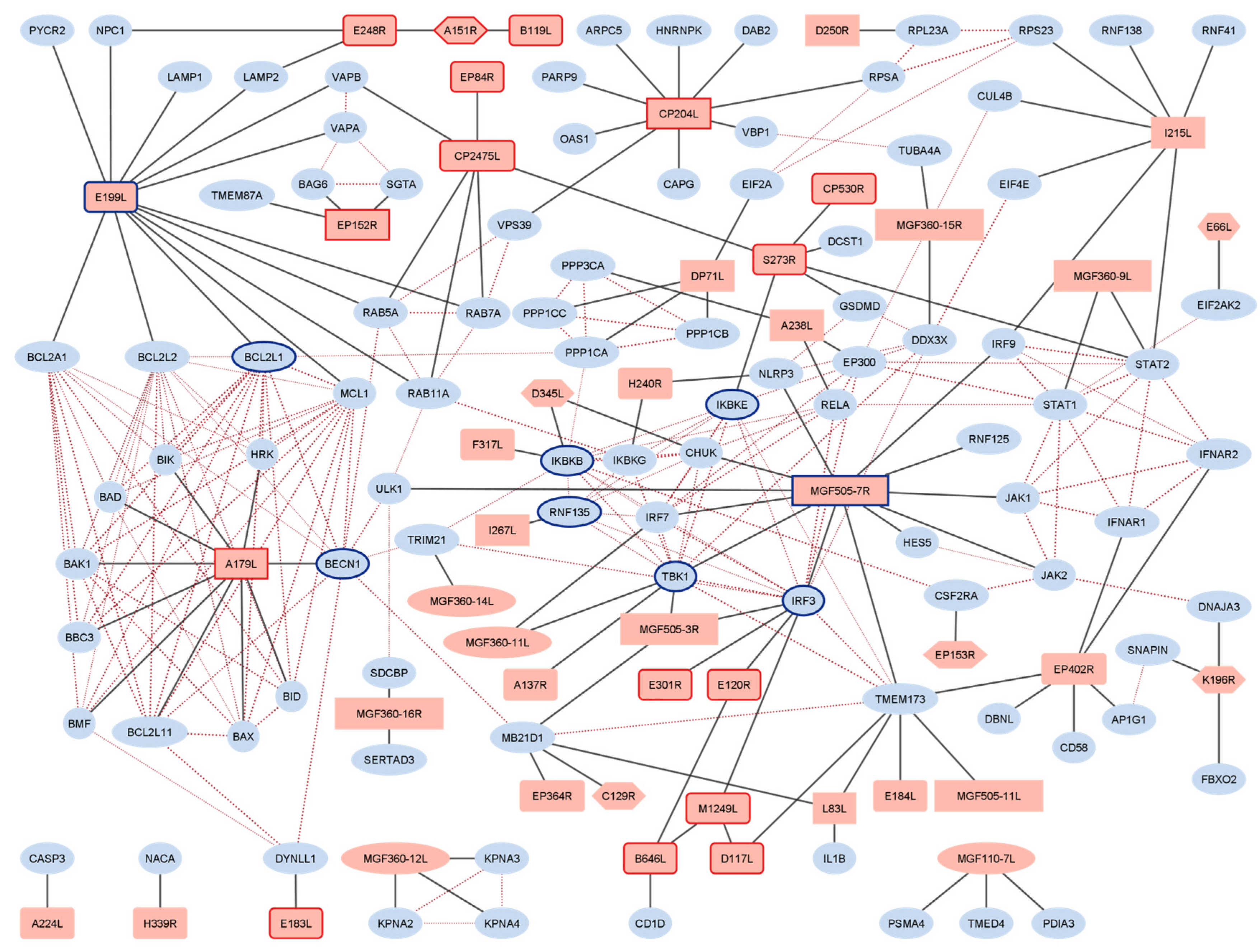 Viruses 15 01634 g001