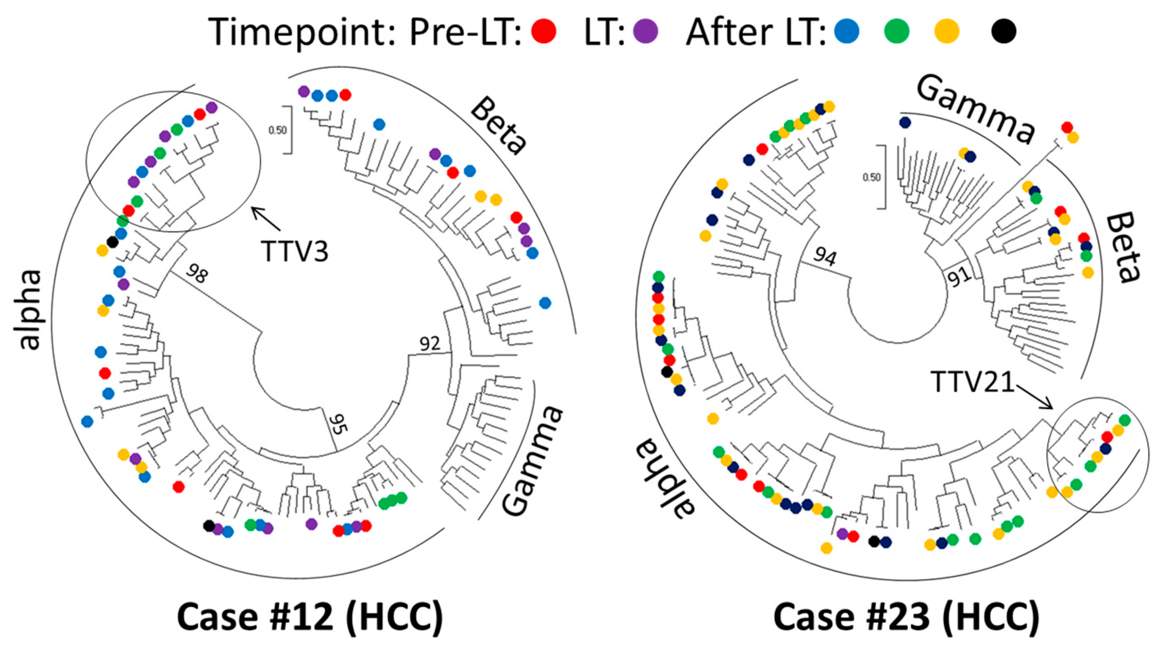 Viruses 15 01635 g007 Viruses 15 01635 g007