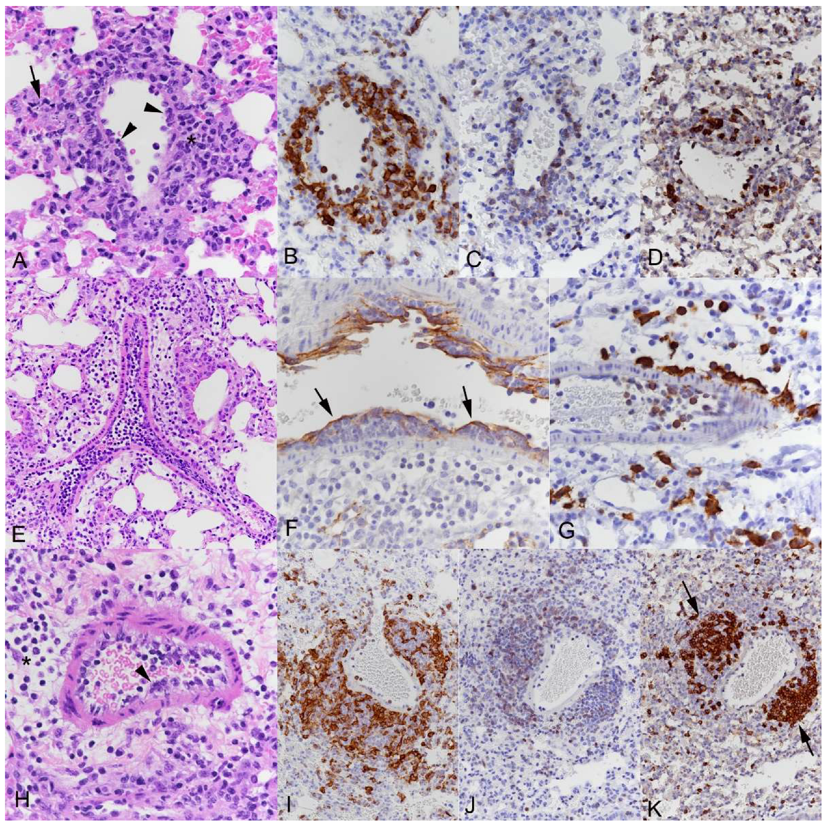 Viruses 15 01637 g005 Viruses 15 01637 g005