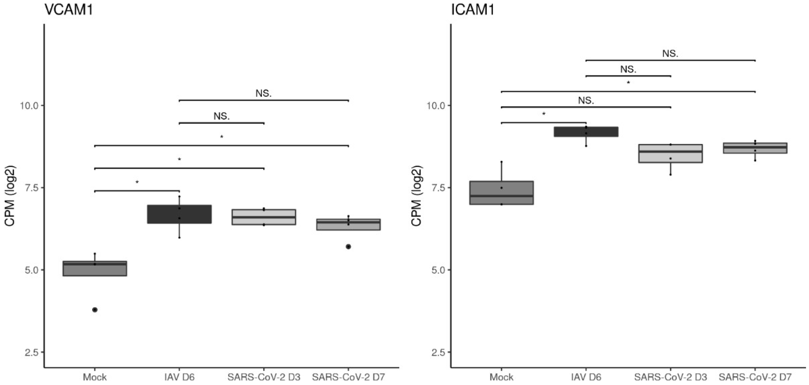Viruses 15 01637 g008 Viruses 15 01637 g008