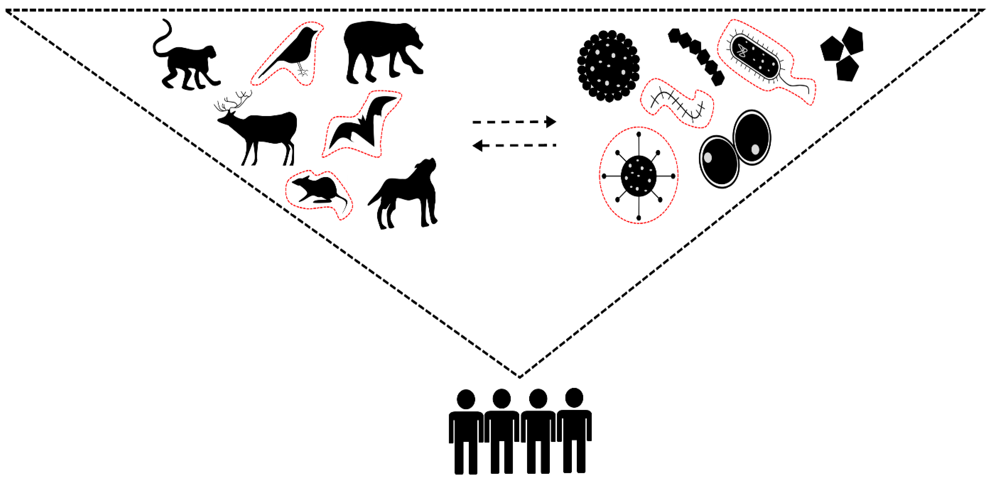 Viruses 15 01638 g002
