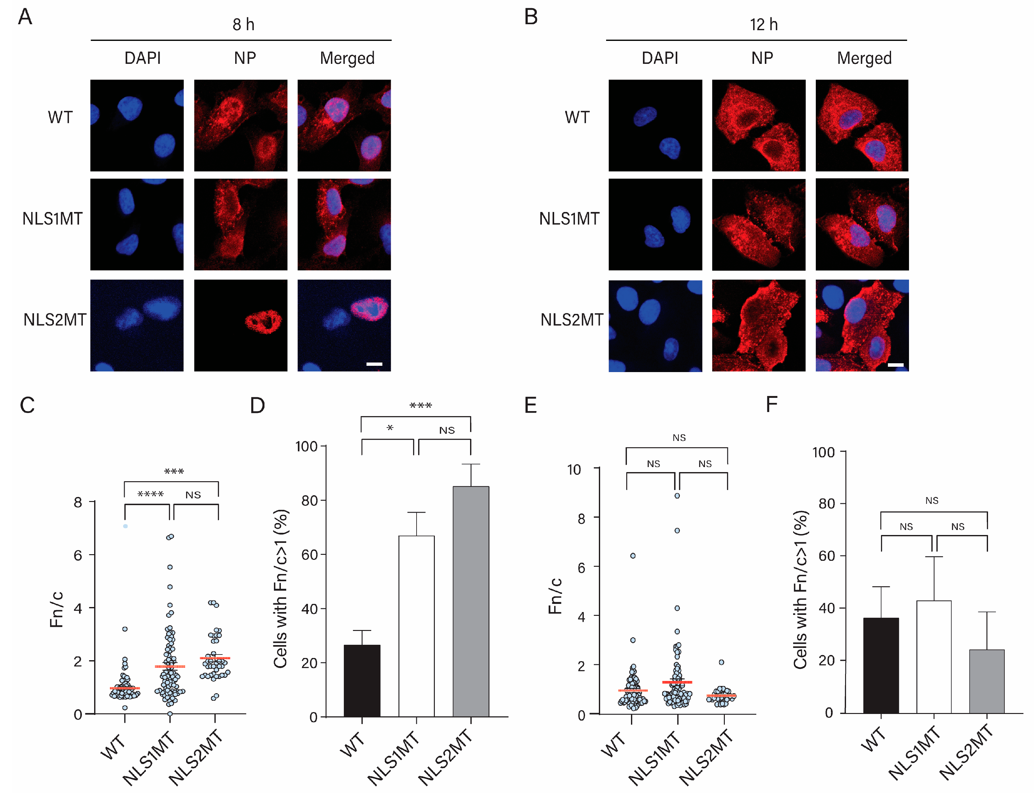 Viruses 15 01641 g005