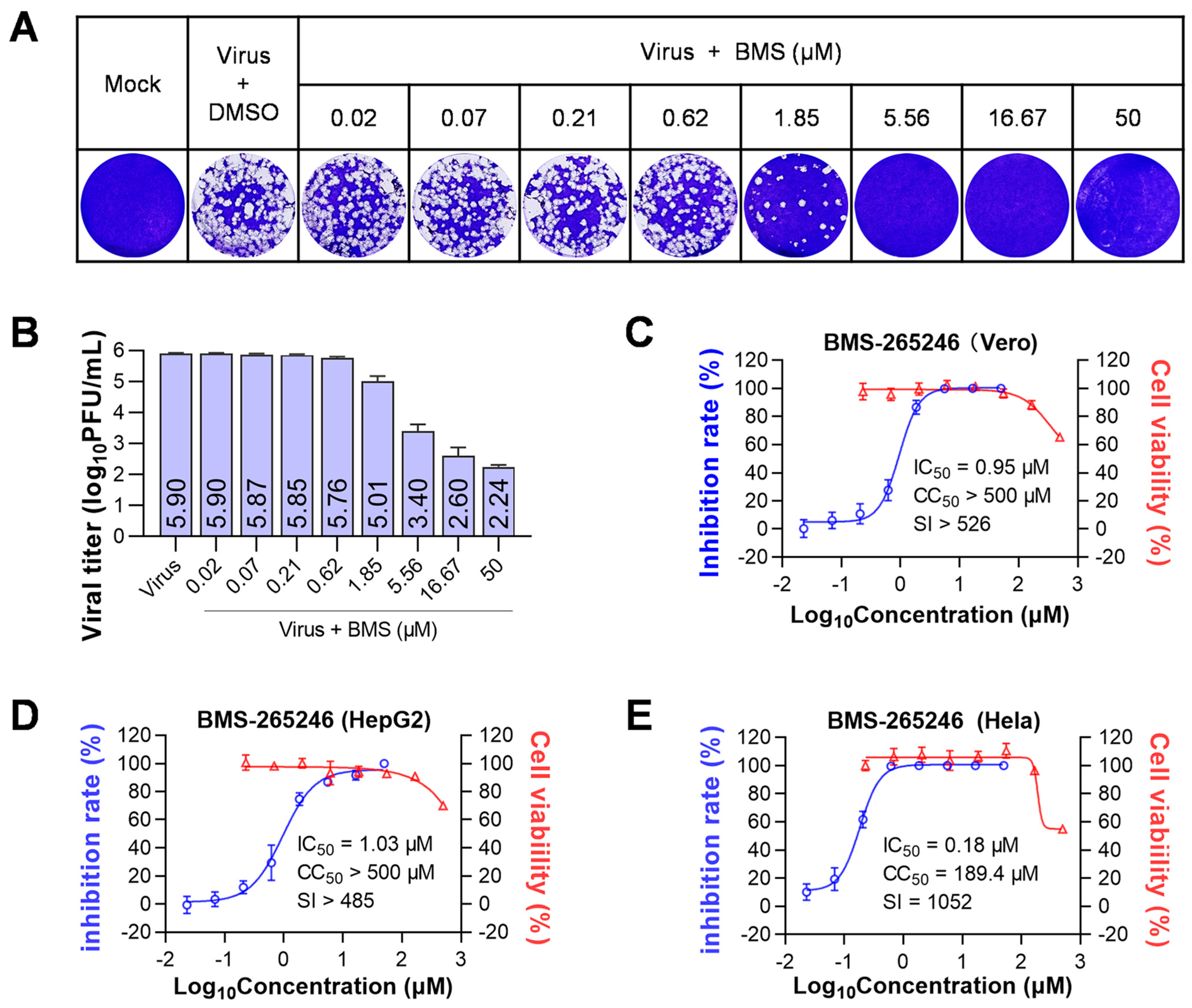 Viruses 15 01642 g001 Viruses 15 01642 g001
