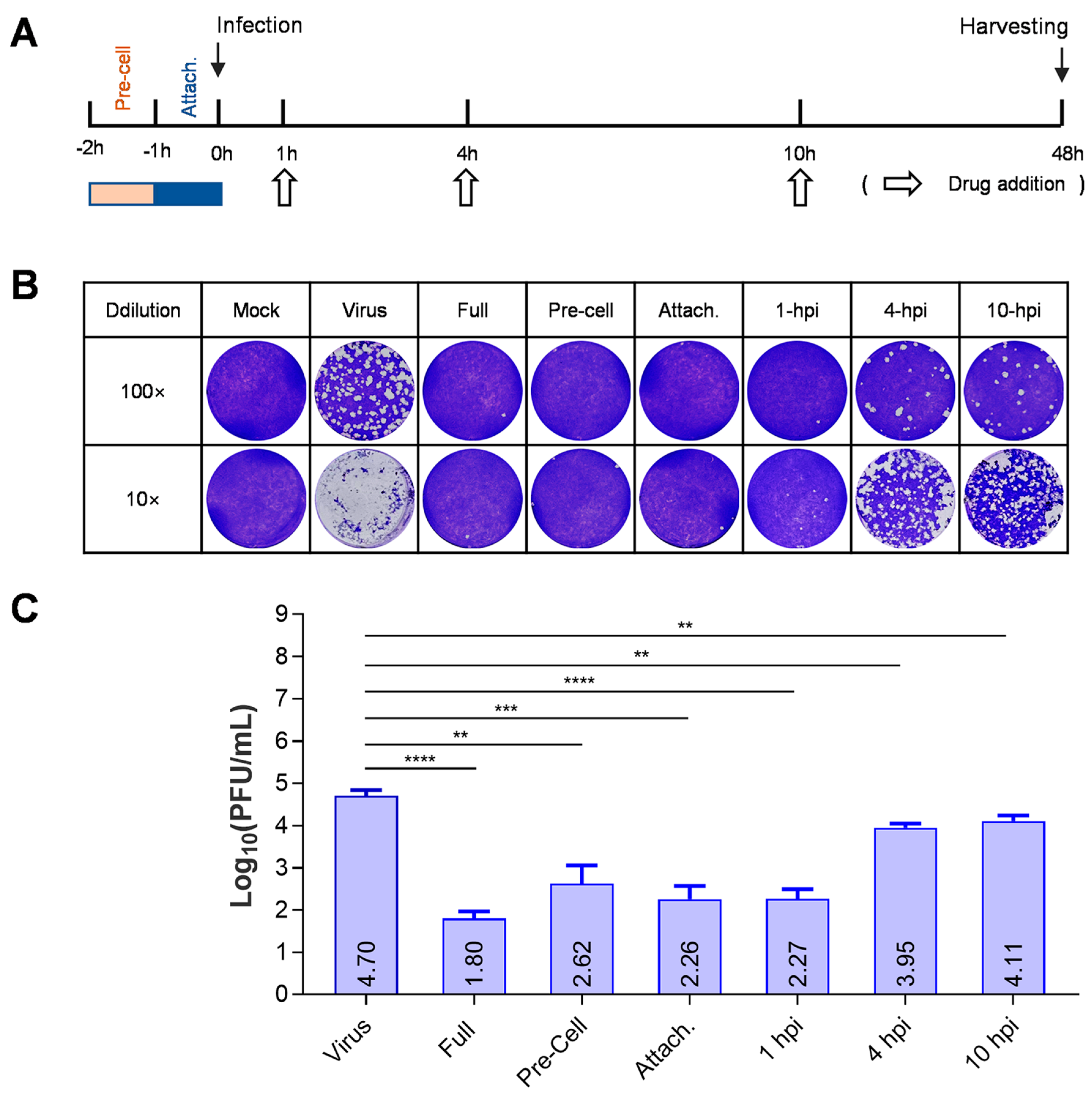 Viruses 15 01642 g002 Viruses 15 01642 g002