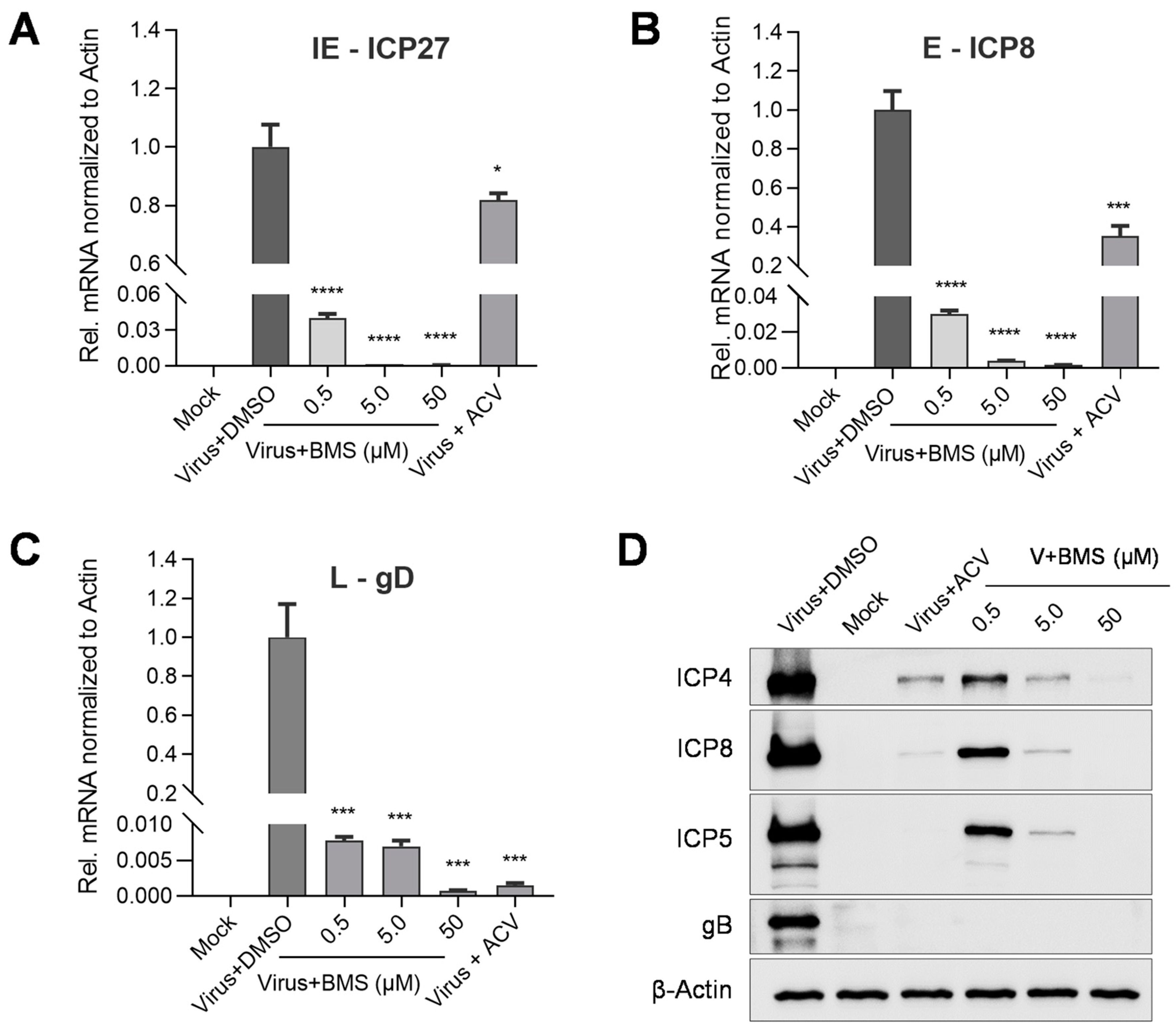 Viruses 15 01642 g005 Viruses 15 01642 g005