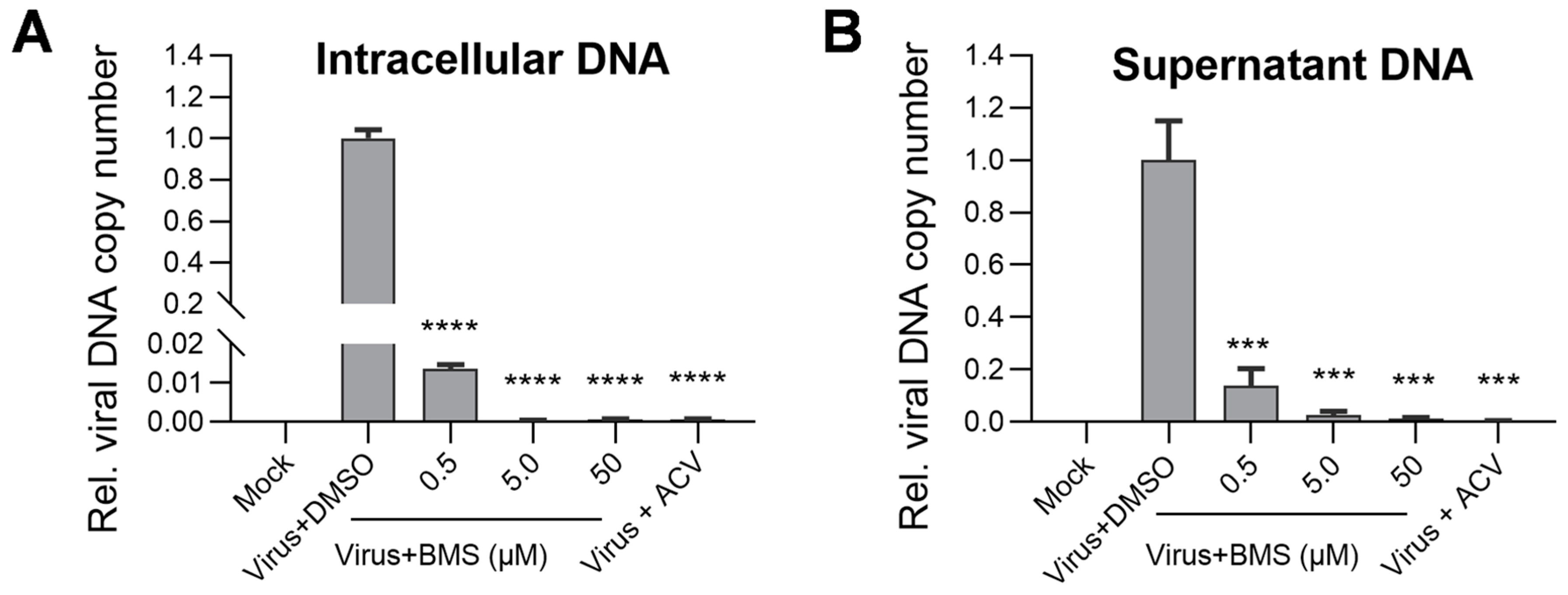 Viruses 15 01642 g006 Viruses 15 01642 g006
