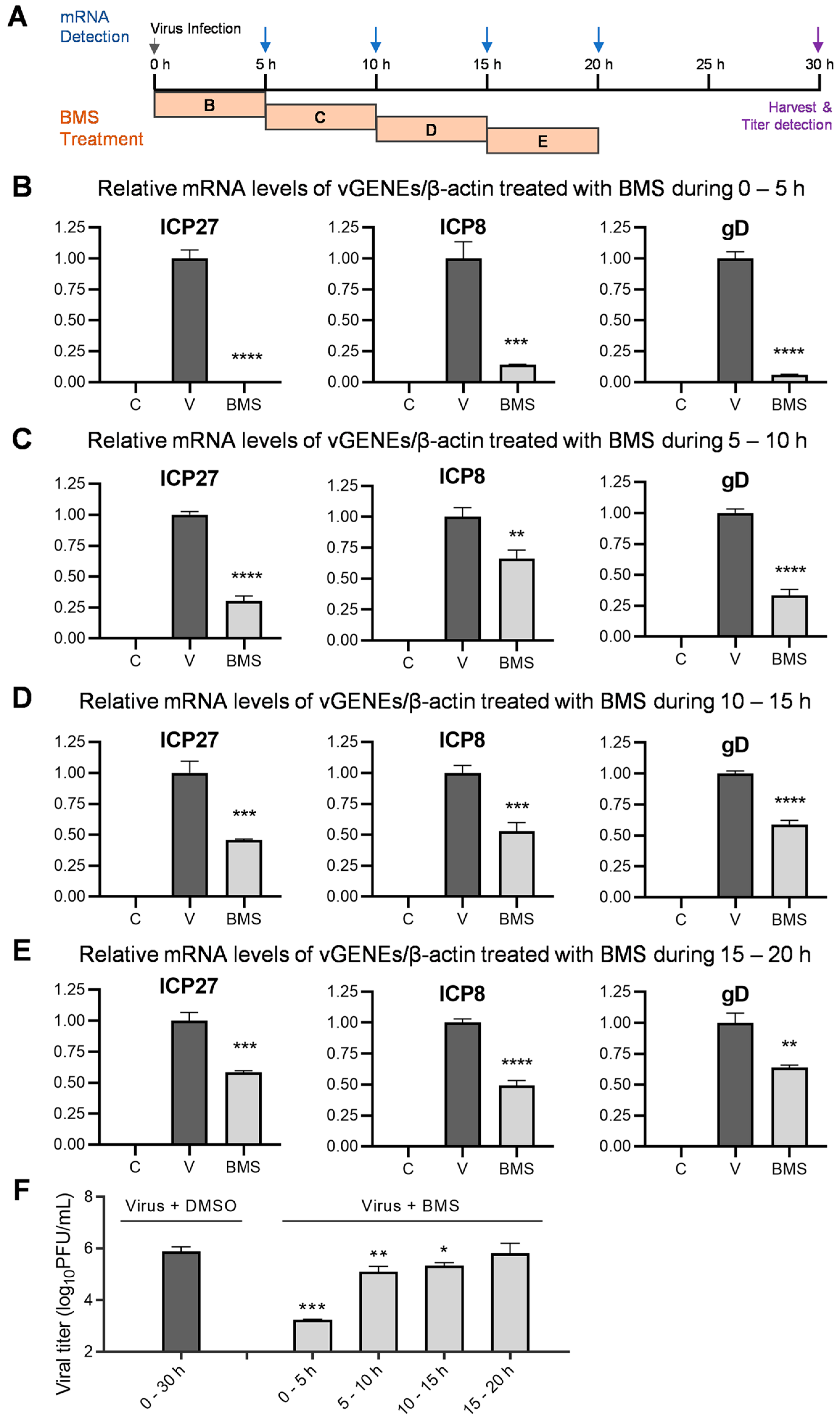 Viruses 15 01642 g007 Viruses 15 01642 g007