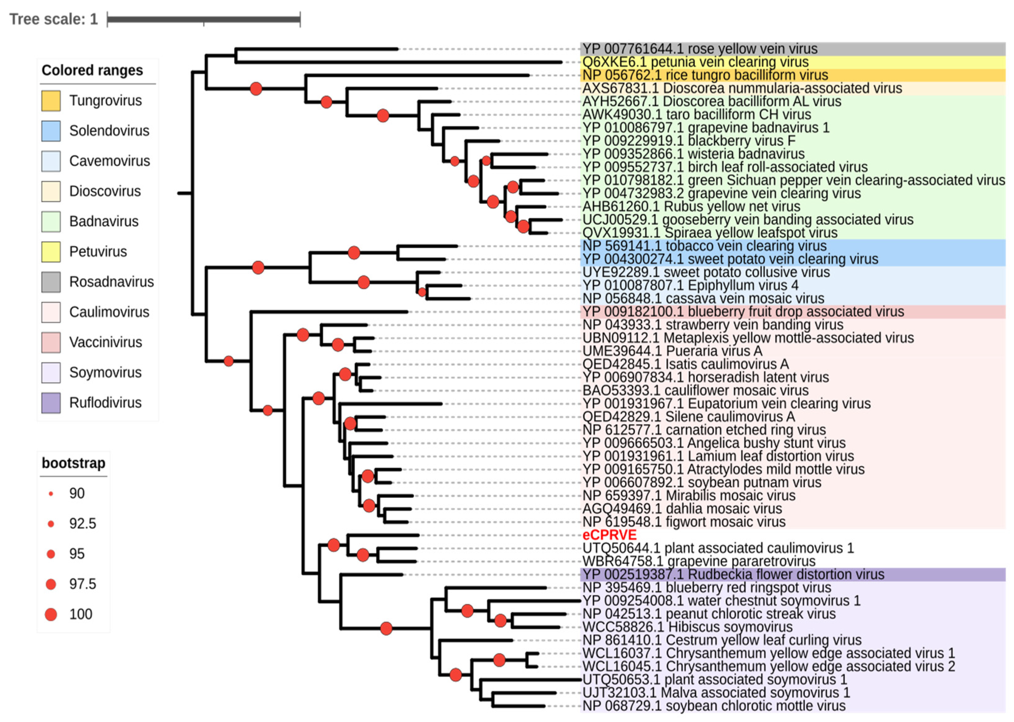 Viruses 15 01643 g001